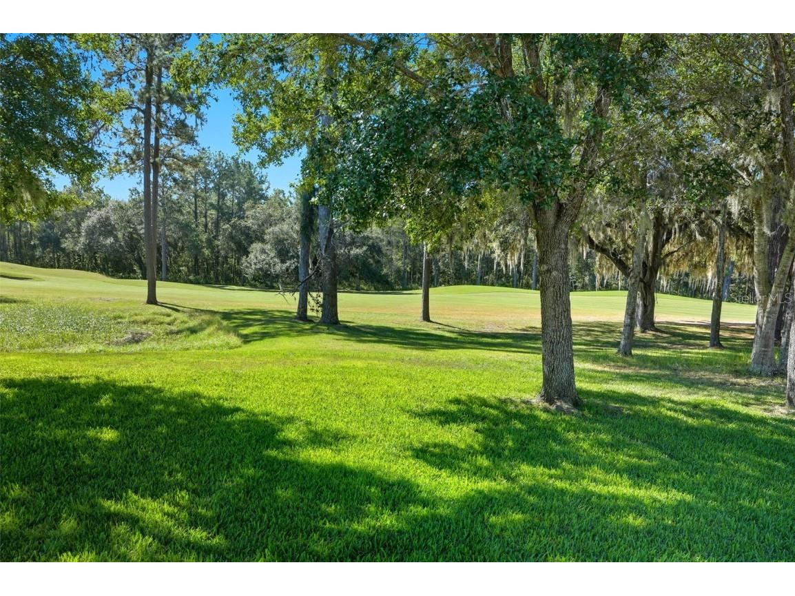 4149 Gevalia Drive Brooksville FL 34604 TB8434656 image40