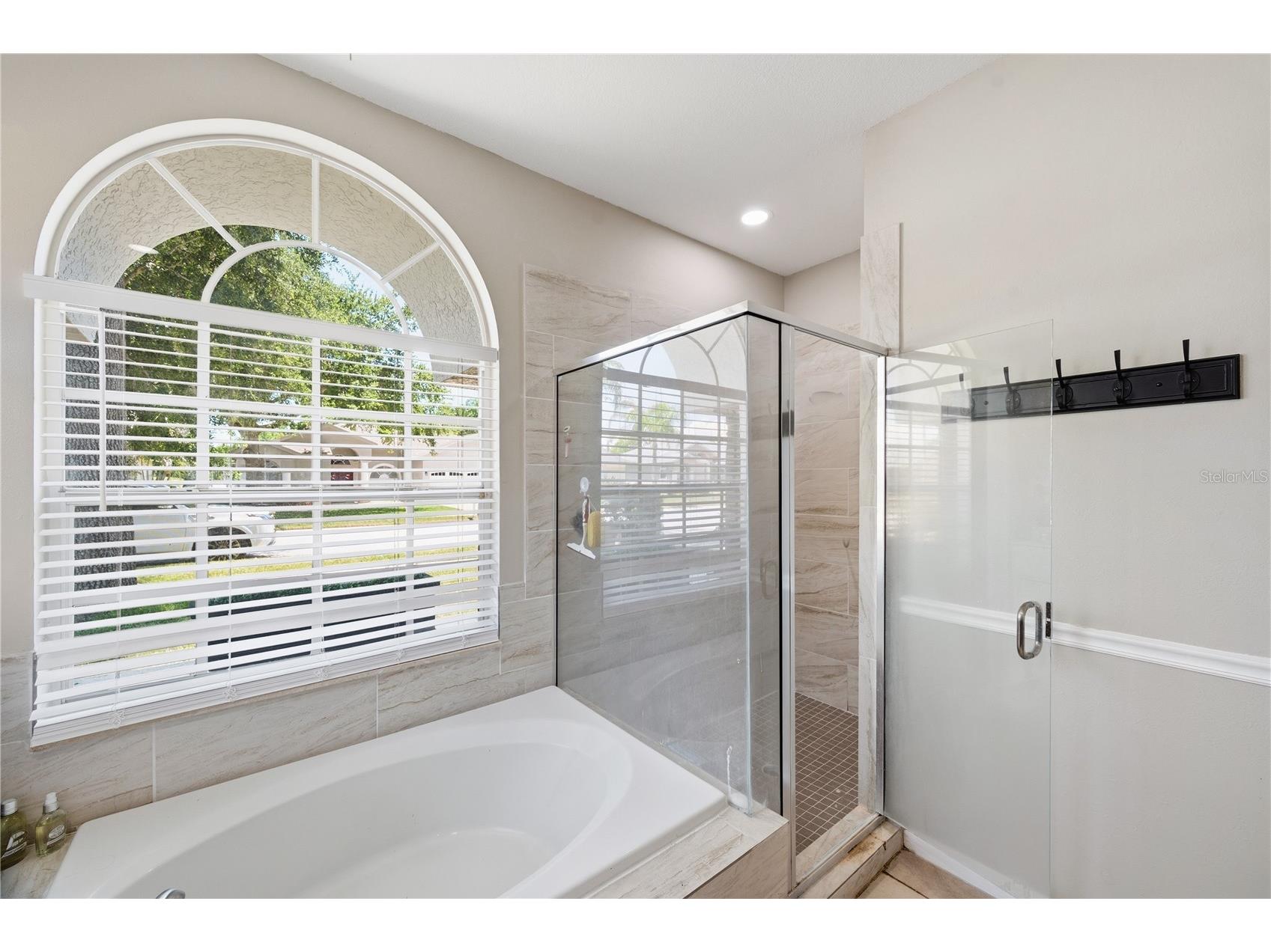 4149 Ridgemoor Drive N Palm Harbor FL 34685 TB8523088 image26