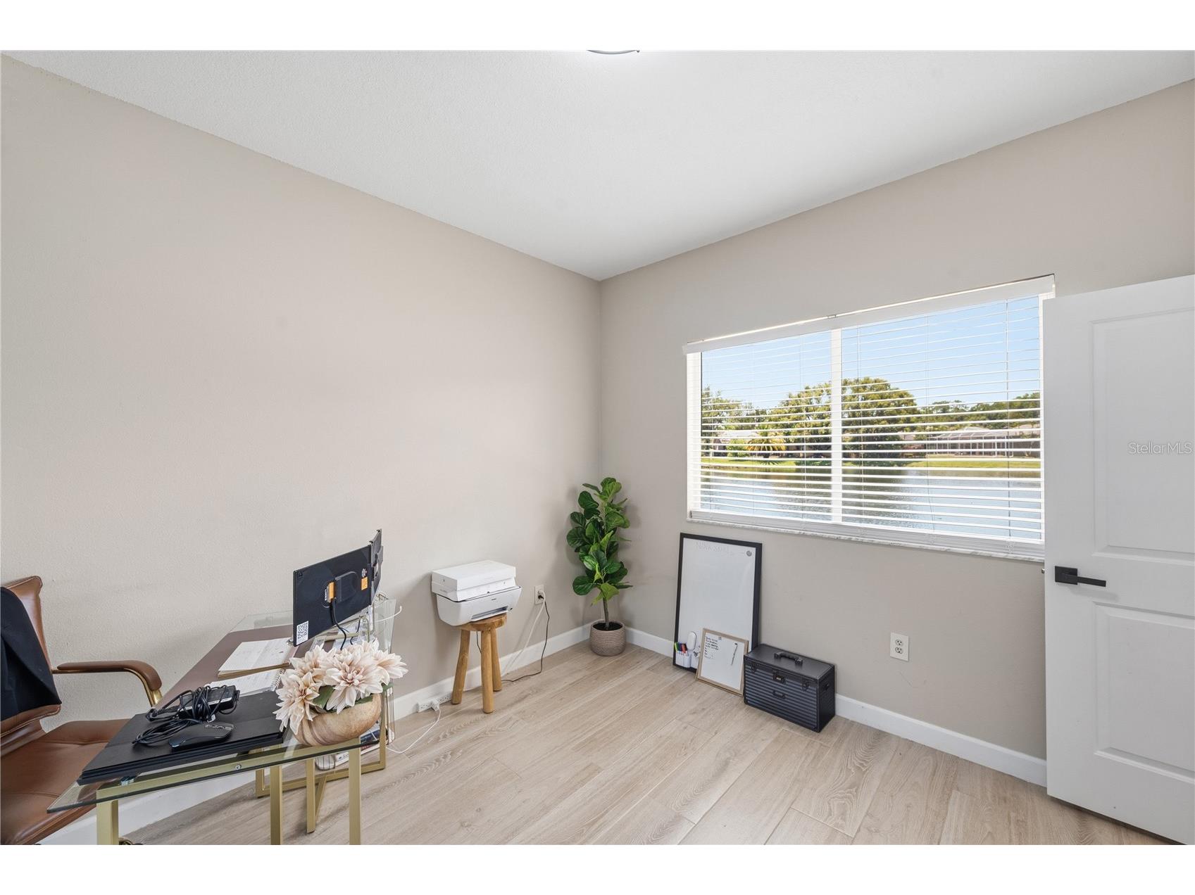 4149 Ridgemoor Drive N Palm Harbor FL 34685 TB8523088 image37