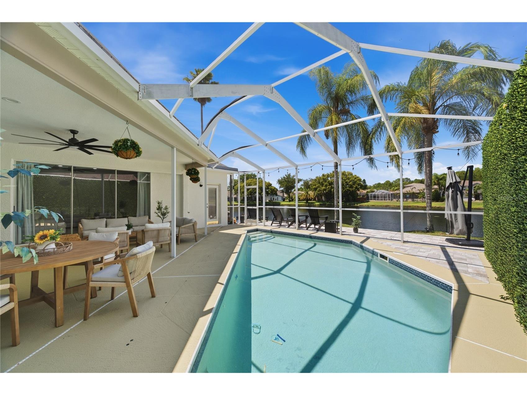 4149 Ridgemoor Drive N Palm Harbor FL 34685 TB8523088 image42