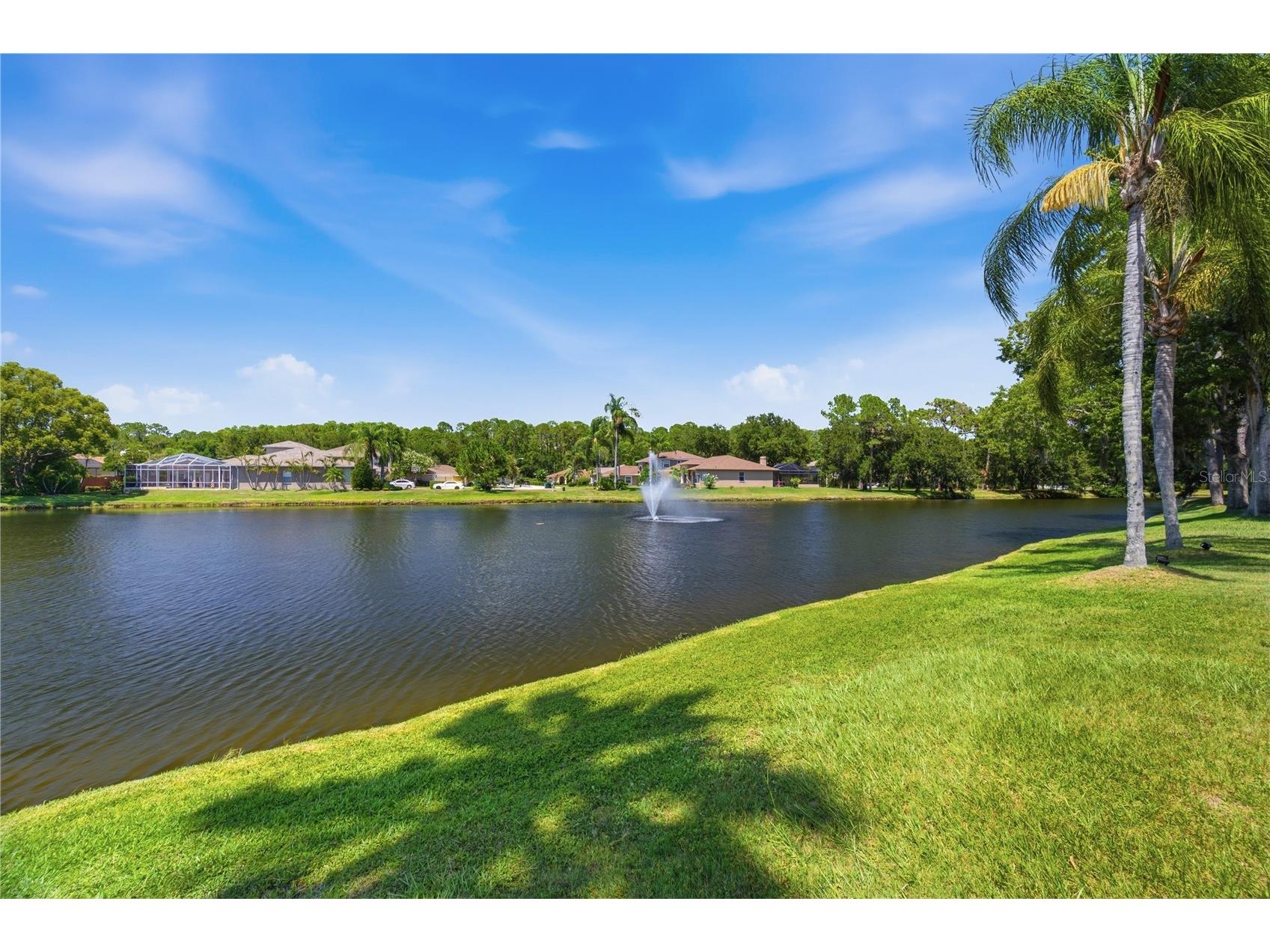 4149 Ridgemoor Drive N Palm Harbor FL 34685 TB8523088 image45