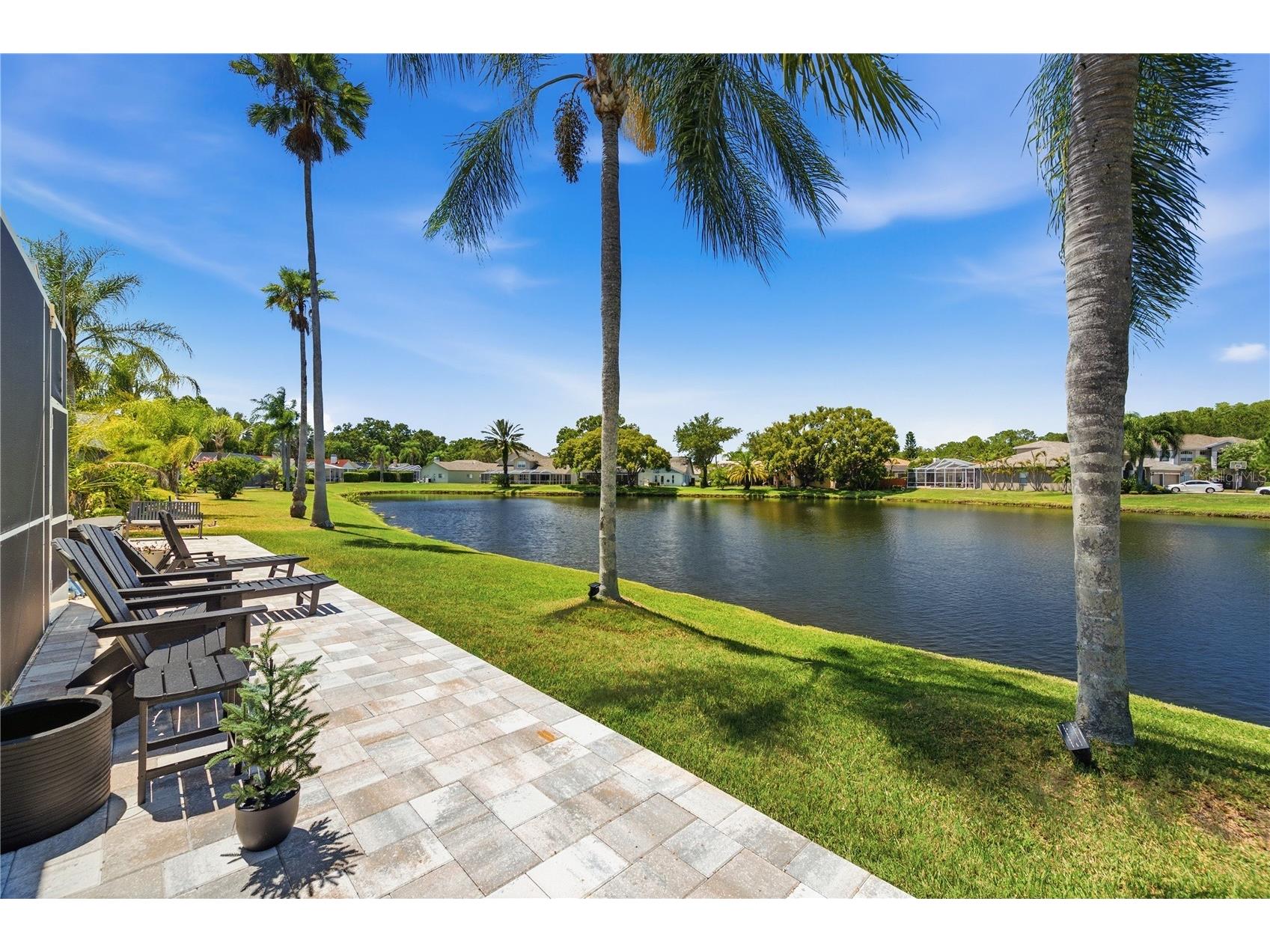 4149 Ridgemoor Drive N Palm Harbor FL 34685 TB8523088 image48