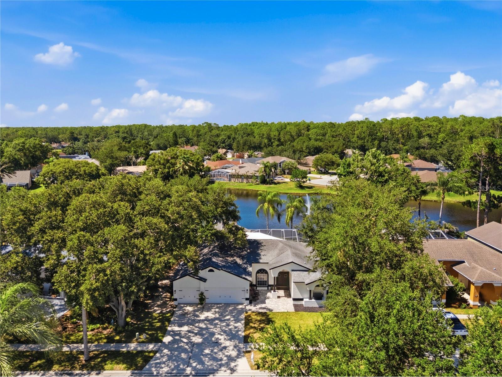 4149 Ridgemoor Drive N Palm Harbor FL 34685 TB8523088 image49