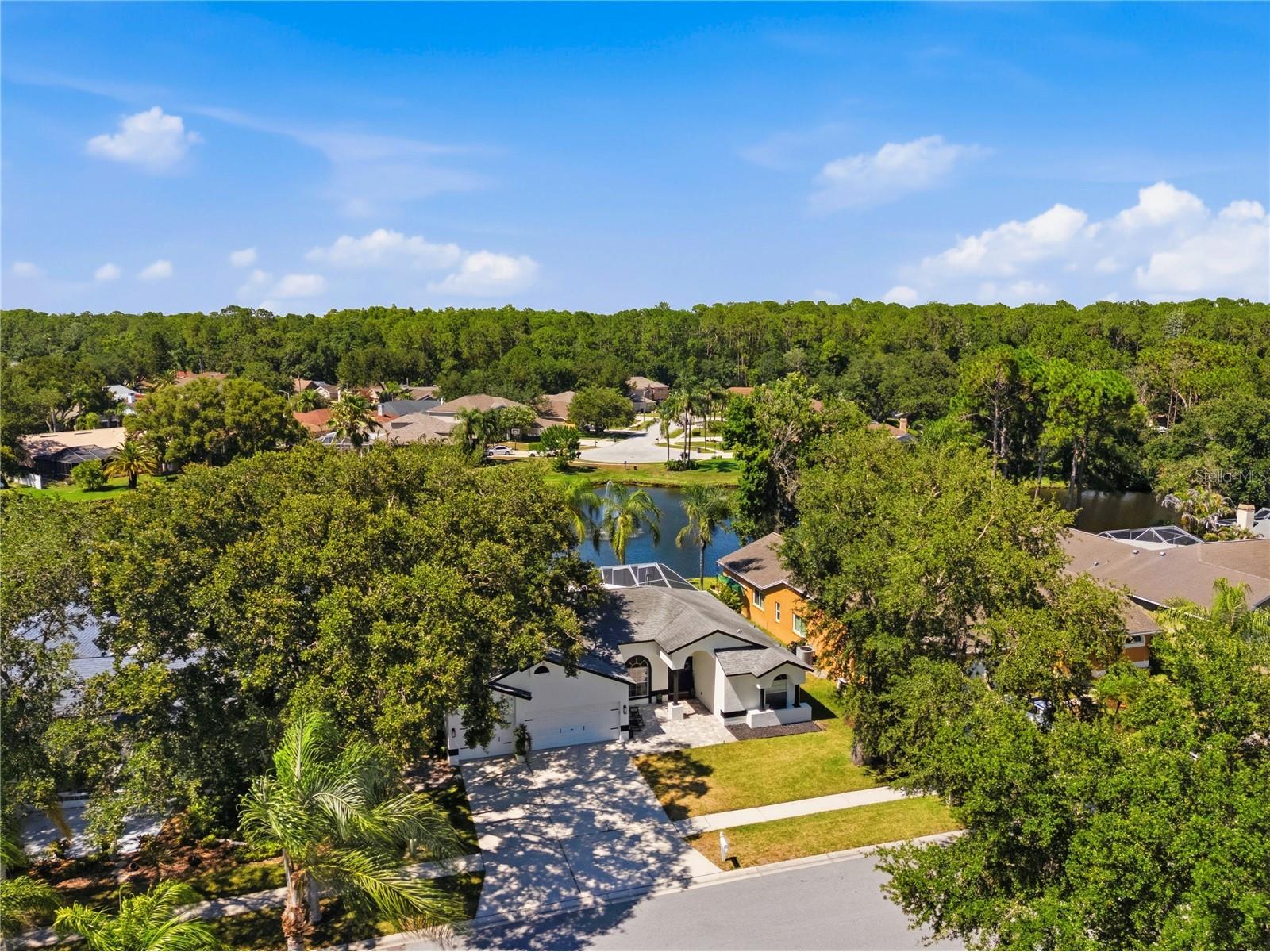 4149 Ridgemoor Drive N Palm Harbor FL 34685 TB8523088 image50