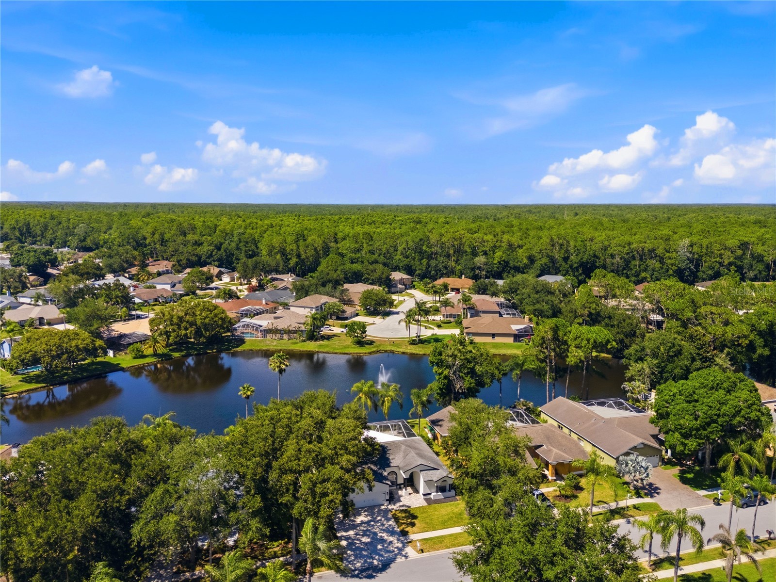 4149 Ridgemoor Drive N Palm Harbor FL 34685 TB8523088 image51