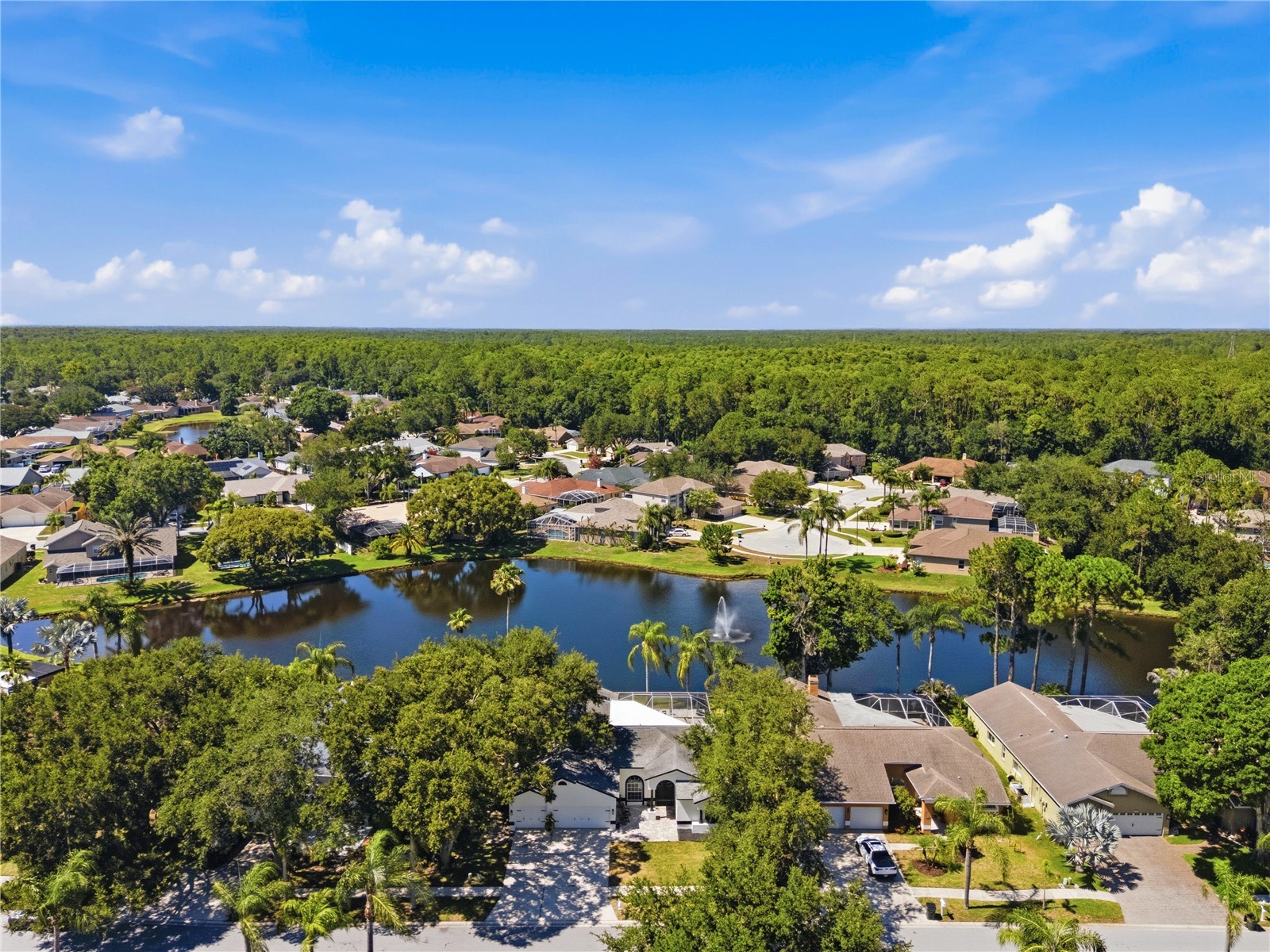 4149 Ridgemoor Drive N Palm Harbor FL 34685 TB8523088 image52