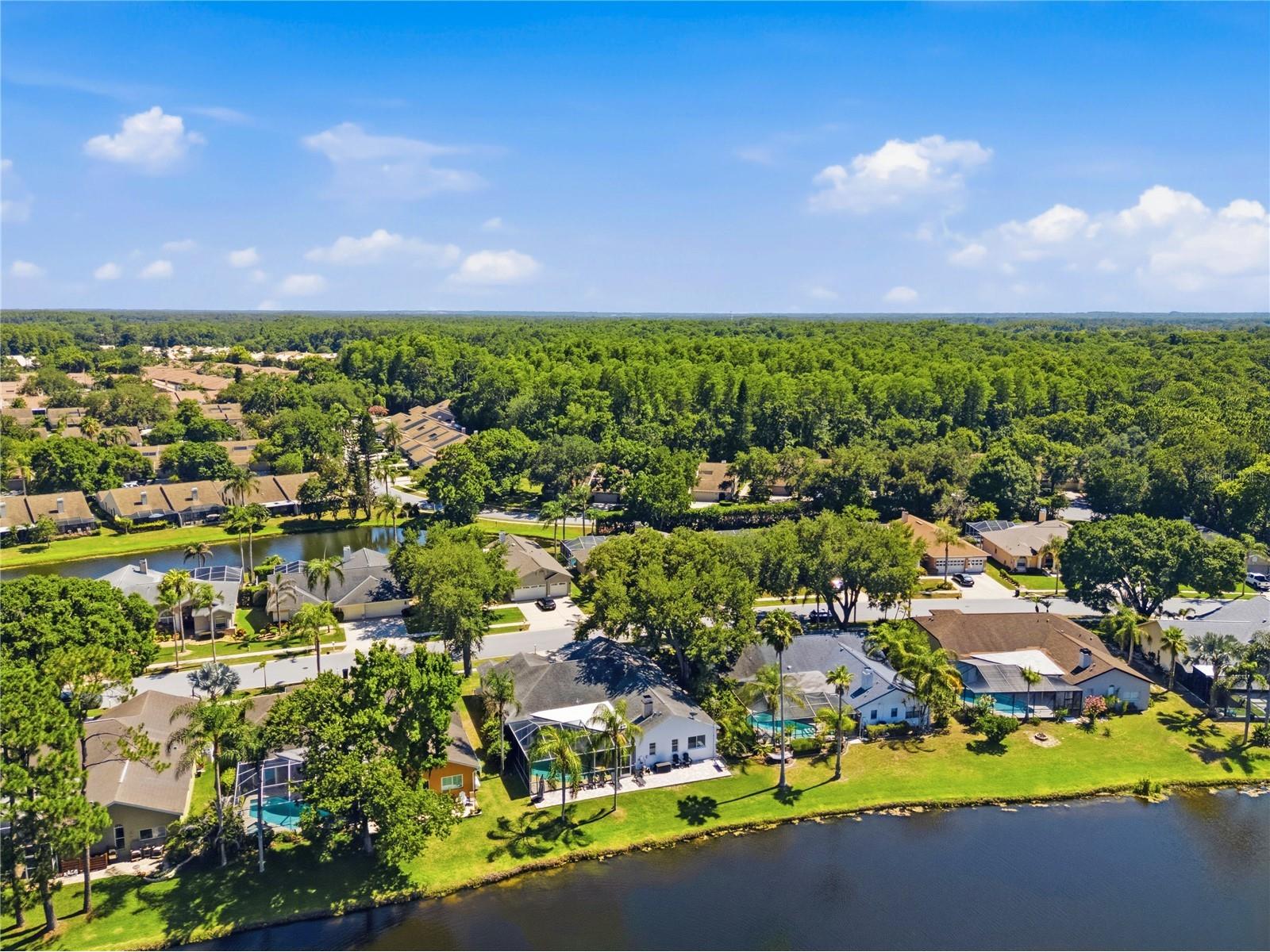 4149 Ridgemoor Drive N Palm Harbor FL 34685 TB8523088 image53