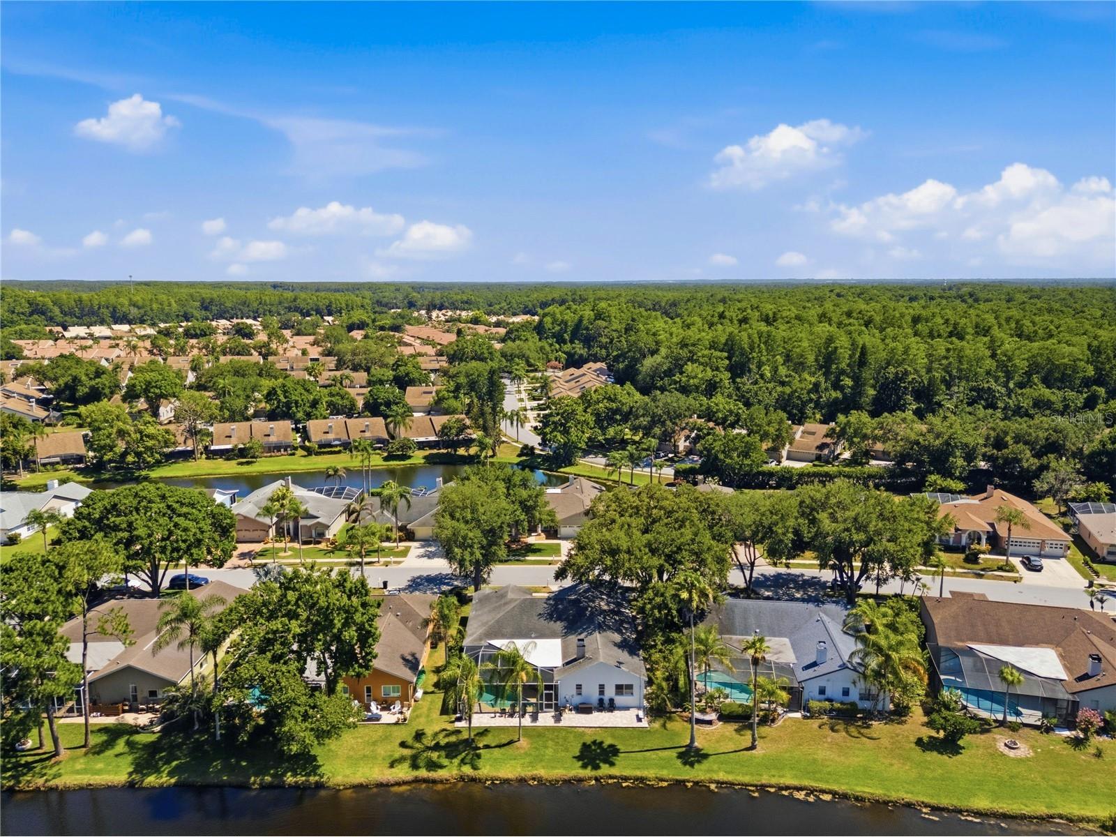 4149 Ridgemoor Drive N Palm Harbor FL 34685 TB8523088 image54