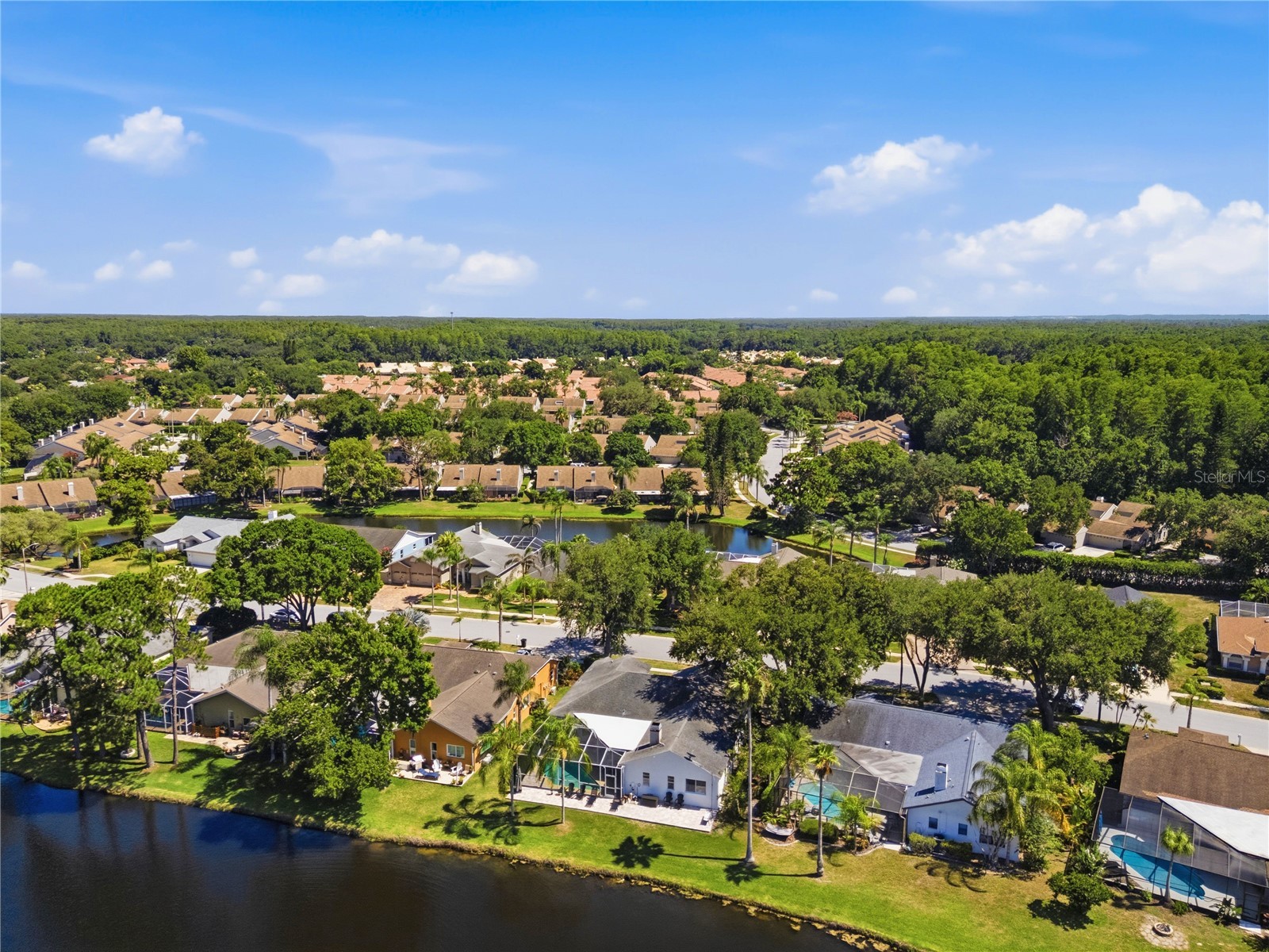 4149 Ridgemoor Drive N Palm Harbor FL 34685 TB8523088 image55