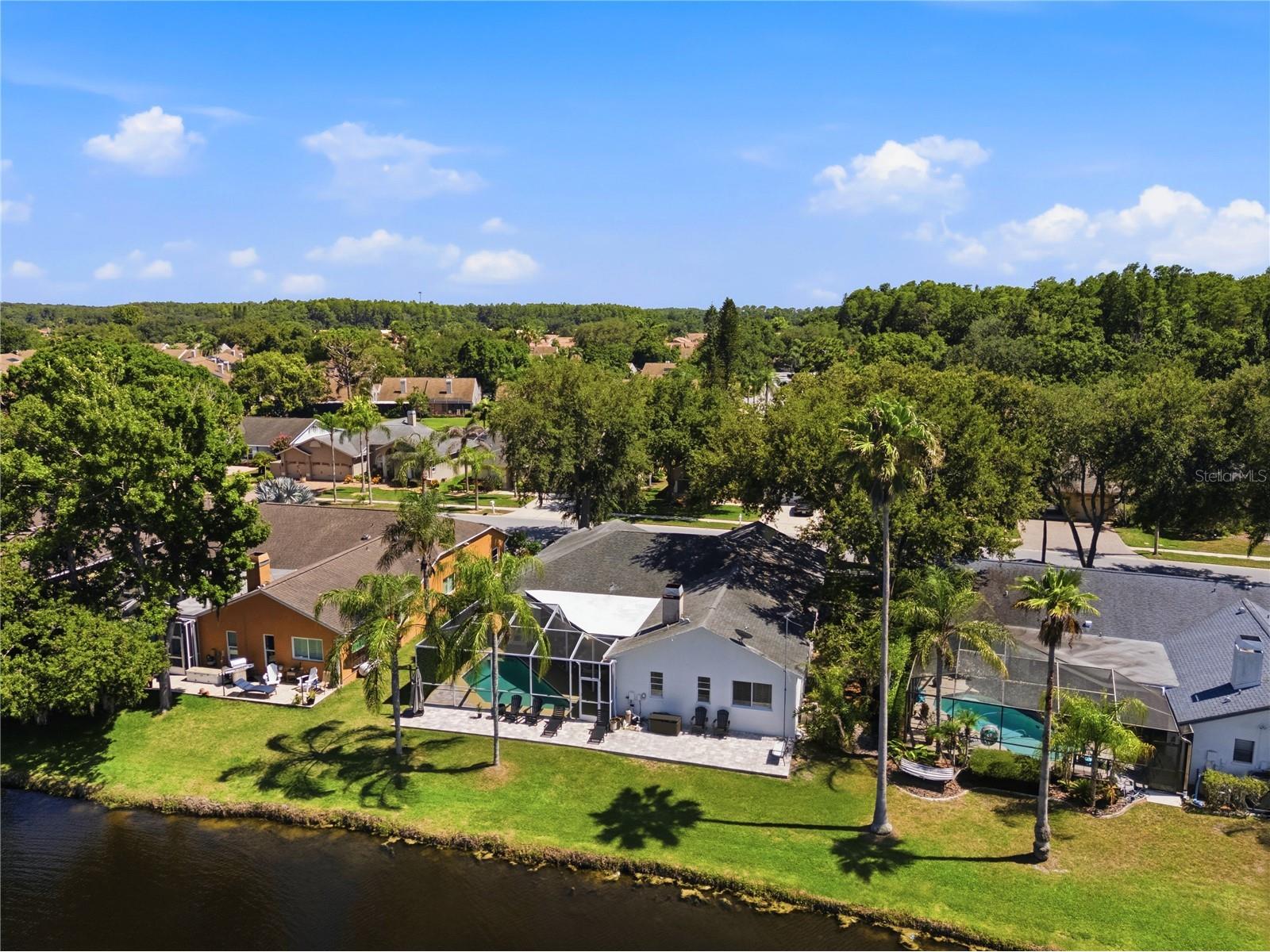 4149 Ridgemoor Drive N Palm Harbor FL 34685 TB8523088 image56