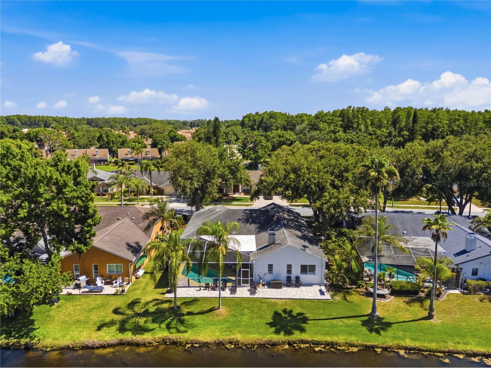4149 Ridgemoor Drive N Palm Harbor FL 34685 TB8523088 image57