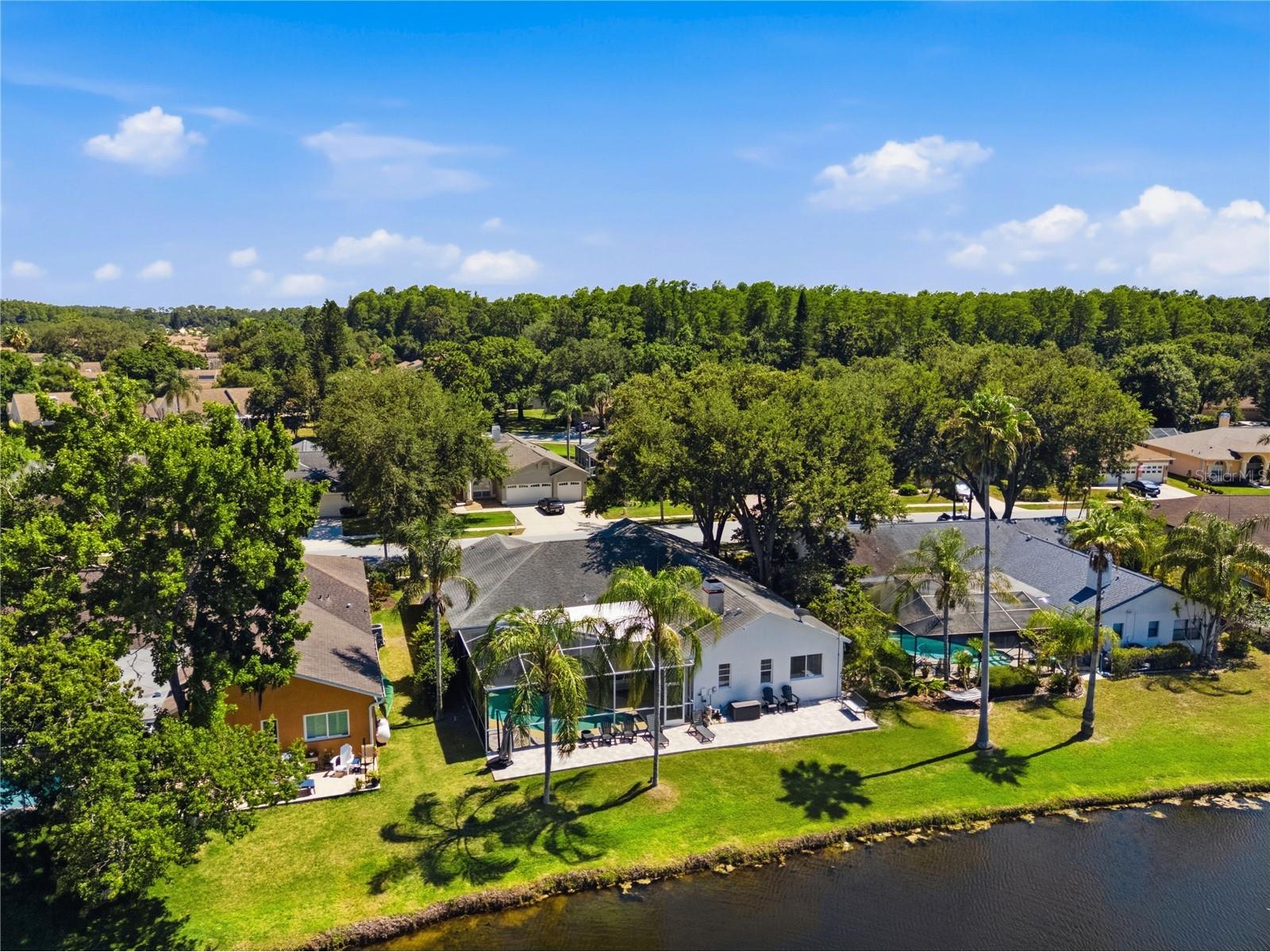 4149 Ridgemoor Drive N Palm Harbor FL 34685 TB8523088 image58