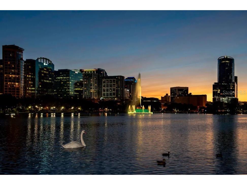 415-1 E Pine Street Orlando FL 32801 O6360901 image4