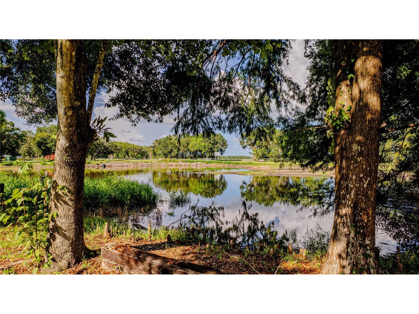 415 1st Street Kenansville FL 34739 S5130896 image17