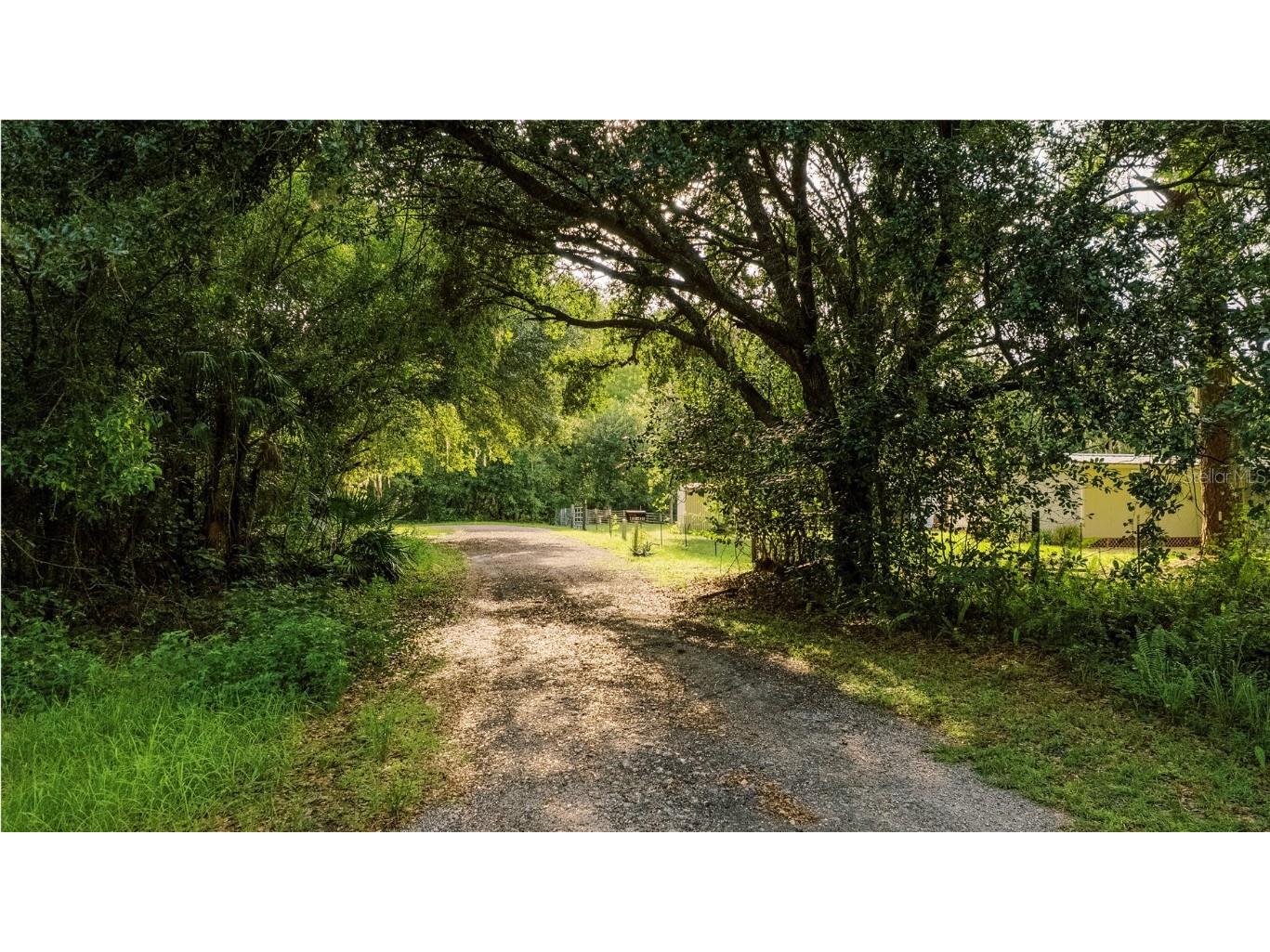 415 1st Street Kenansville FL 34739 S5130896 image19