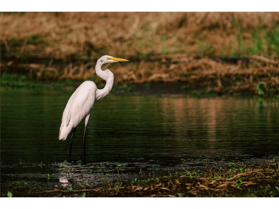 415 1st Street Kenansville FL 34739 S5130896 image21