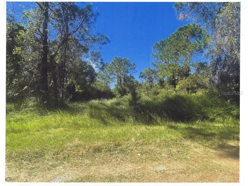 415 Belmonte Drive Indian Lake Estates FL 33855 O6306262 image4