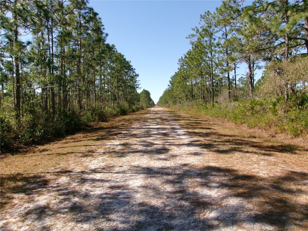415 Bougainvillea Indian Lake Estates FL 33855 P4929326 image1