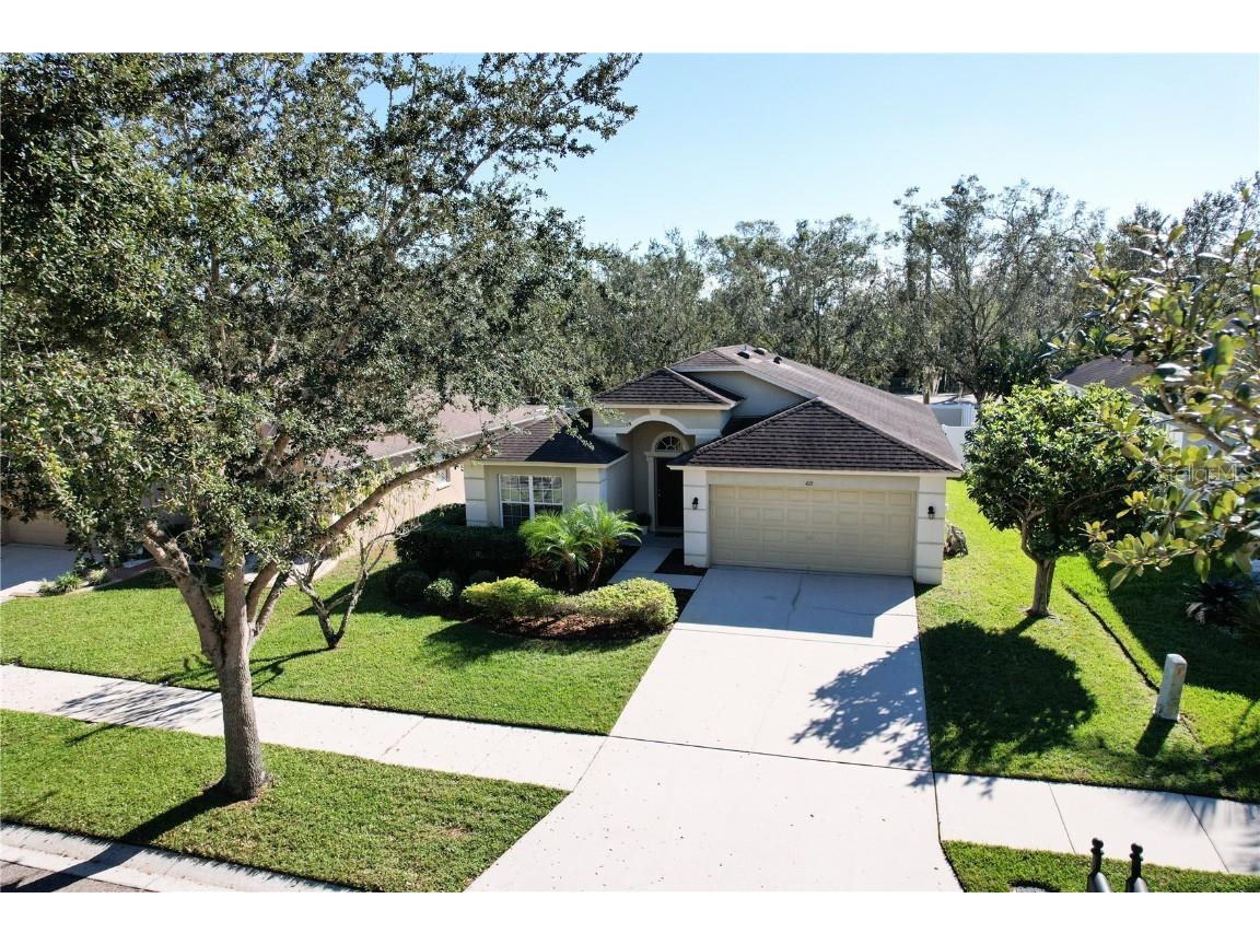 415 Down Pine Drive Seffner FL 33584 T3417822 image1