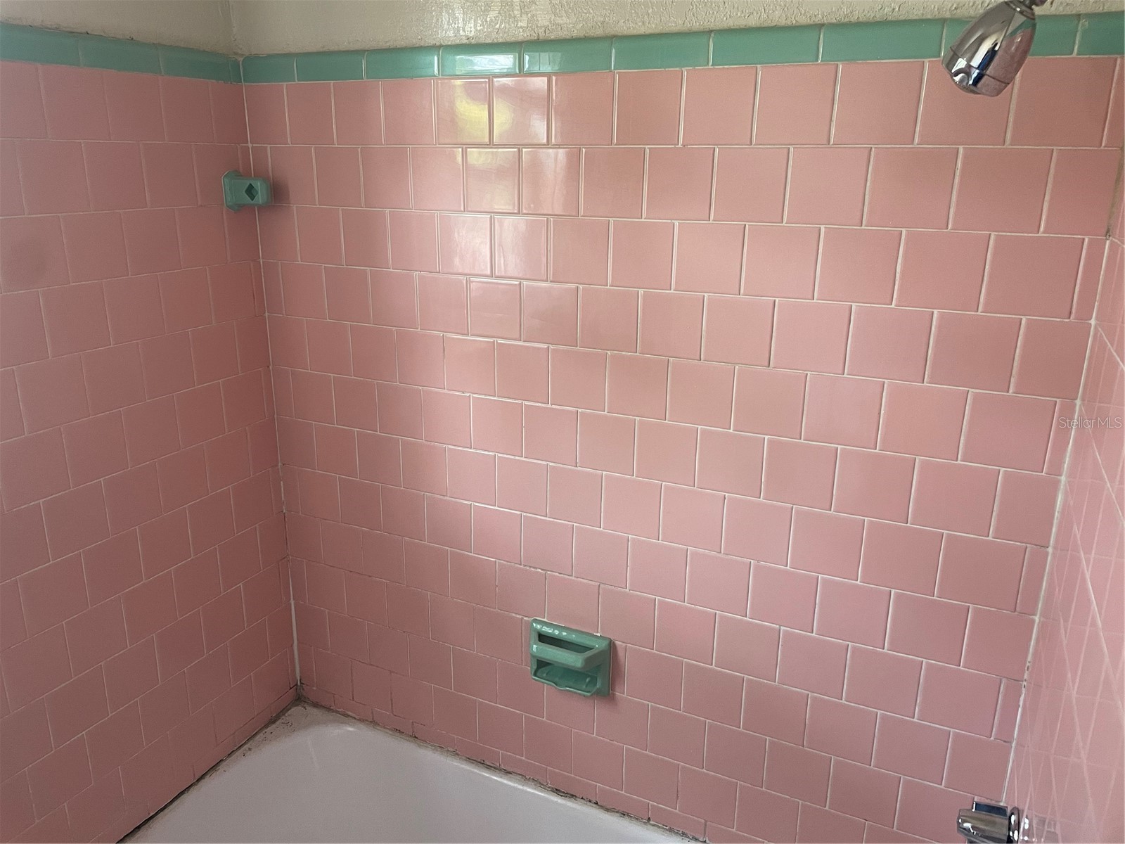 415 E Floribraska Avenue Tampa FL 33603 TB8488879 image12