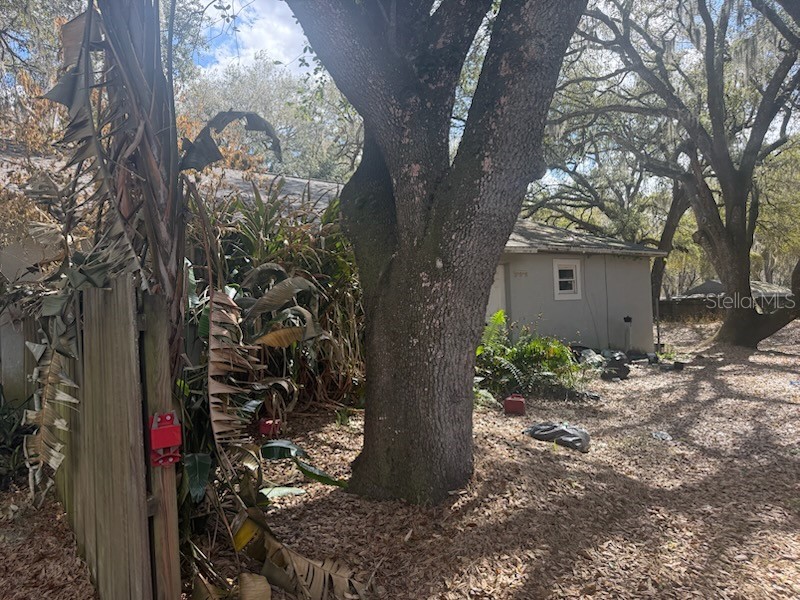 415 Garrett Ridge Court Winter Haven FL 33880 O6383855 image14