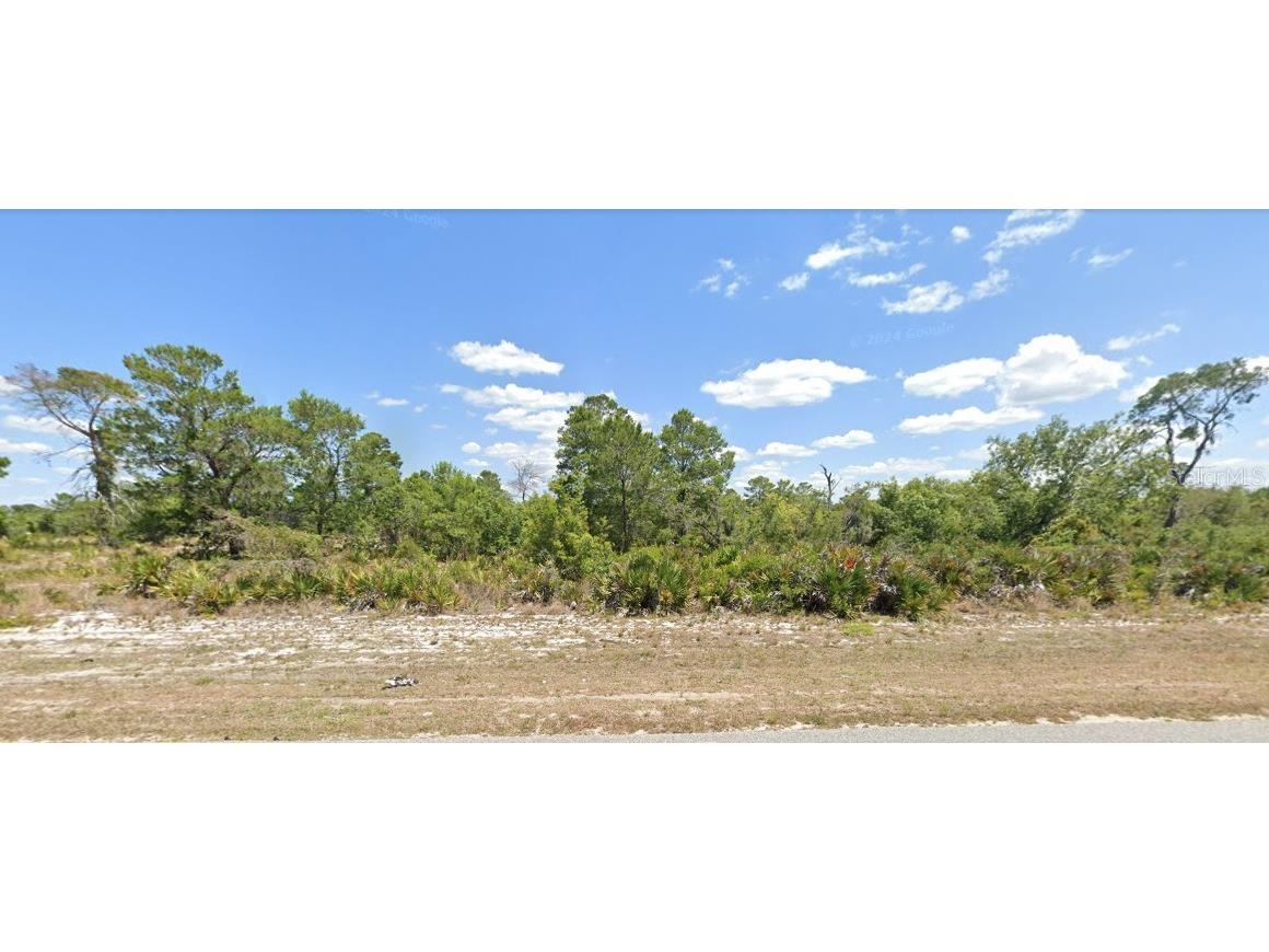 415 Hallmark Avenue Lake Placid FL 33852 OM703305 image2