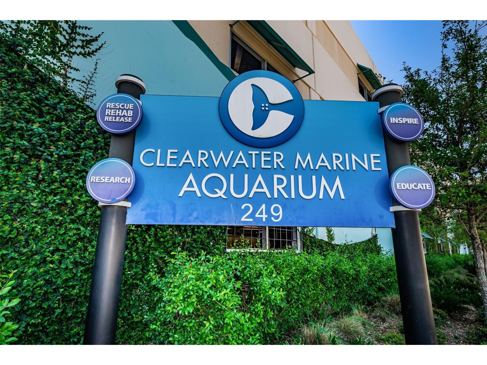 415 Island Way #509 Clearwater Beach FL 33767 TB8473993 image41