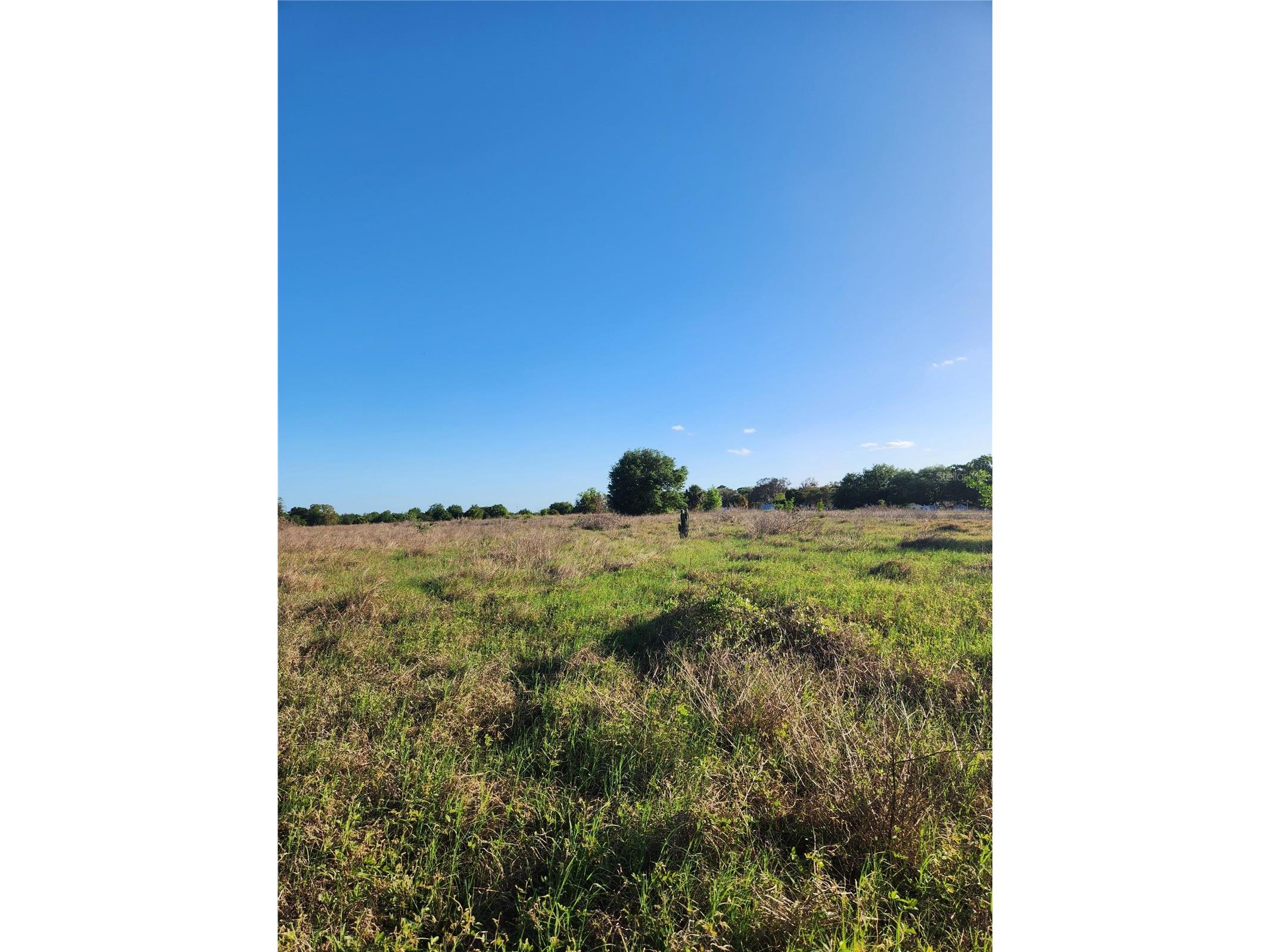 415 Lake Josephine Drive Sebring FL 33875 C7524380 image2