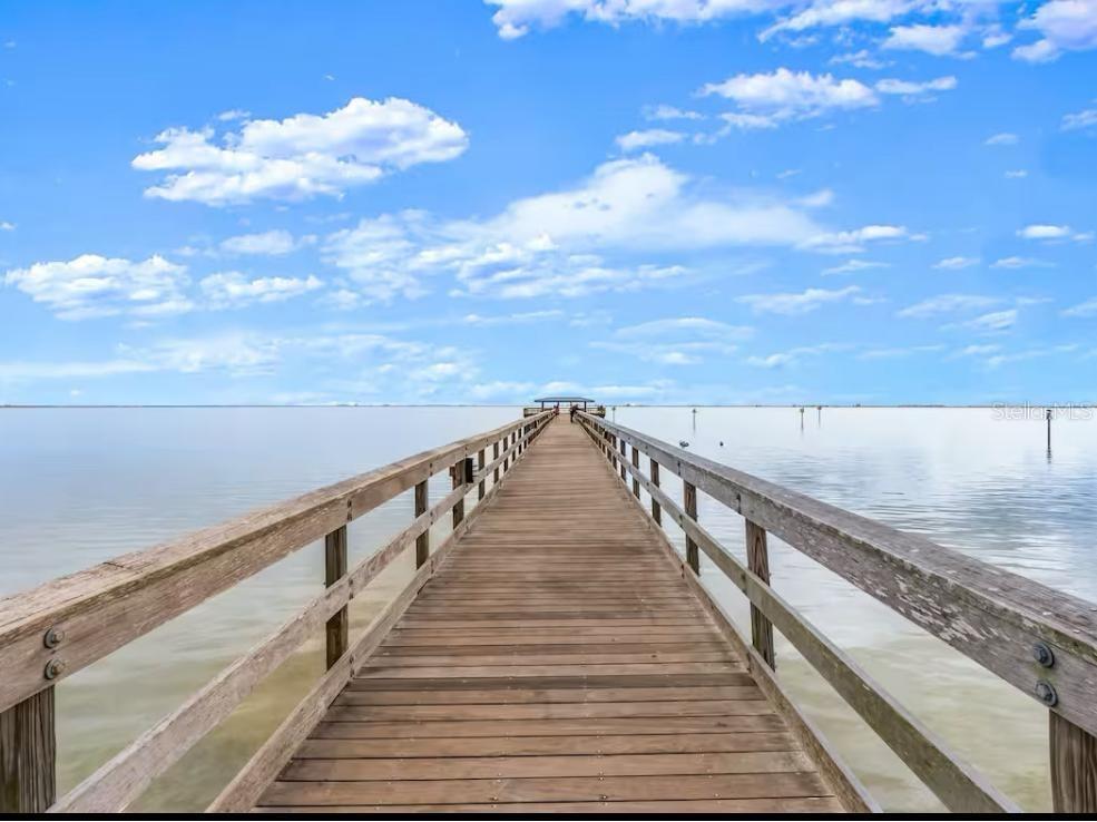 415 Maple Way #A & B Safety Harbor FL 34695 TB8443812 image46