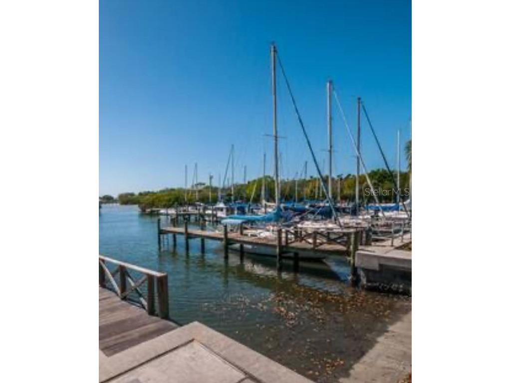 415 Maple Way #A & B Safety Harbor FL 34695 TB8443812 image47