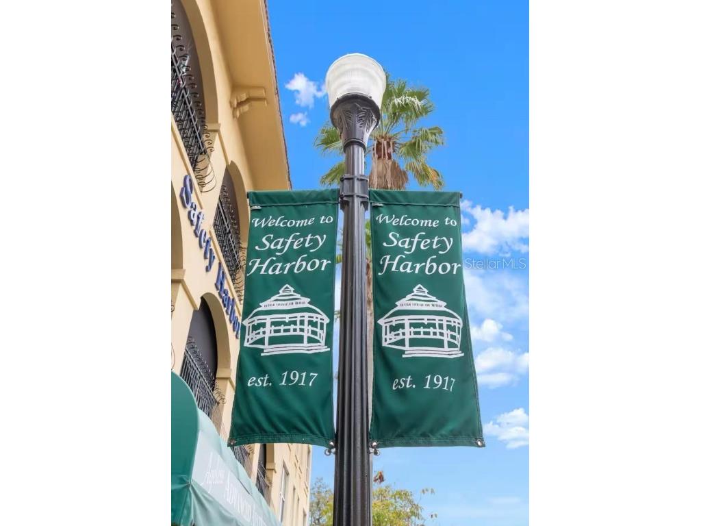 415 Maple Way #A & B Safety Harbor FL 34695 TB8443812 image48