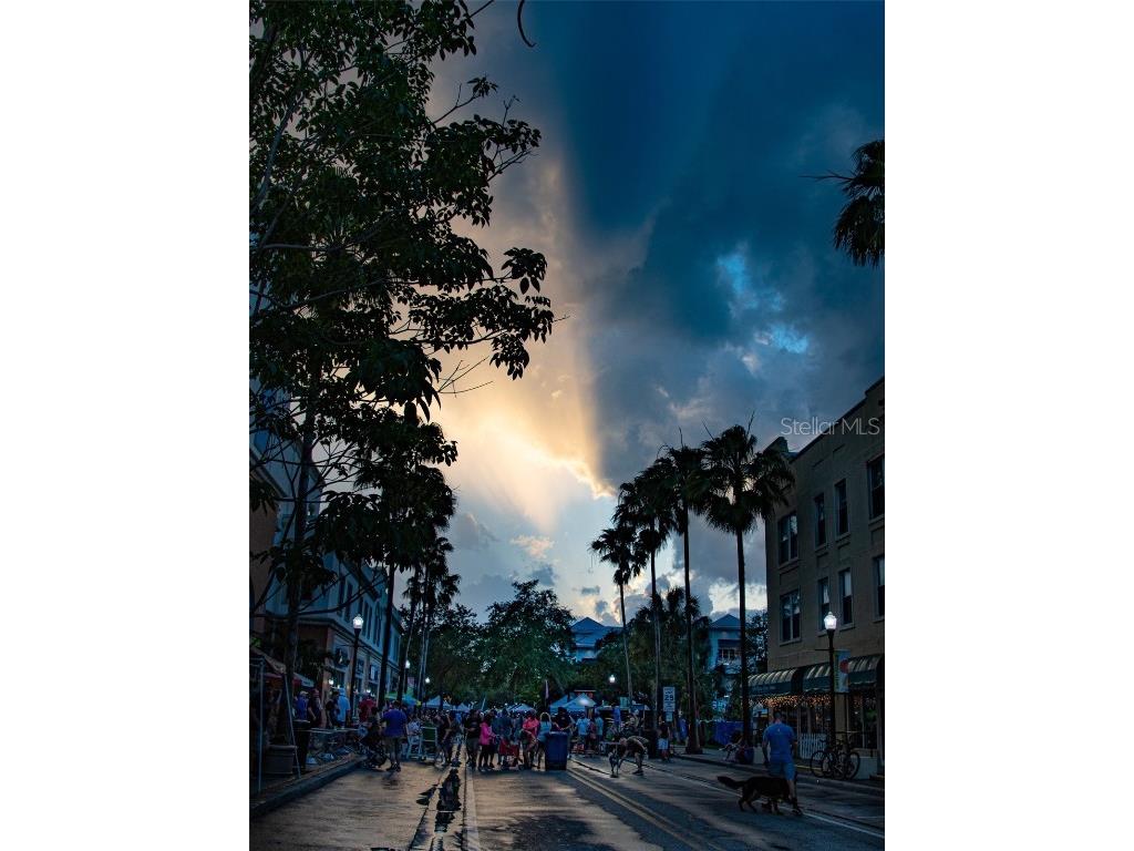 415 Maple Way #A & B Safety Harbor FL 34695 TB8443812 image49