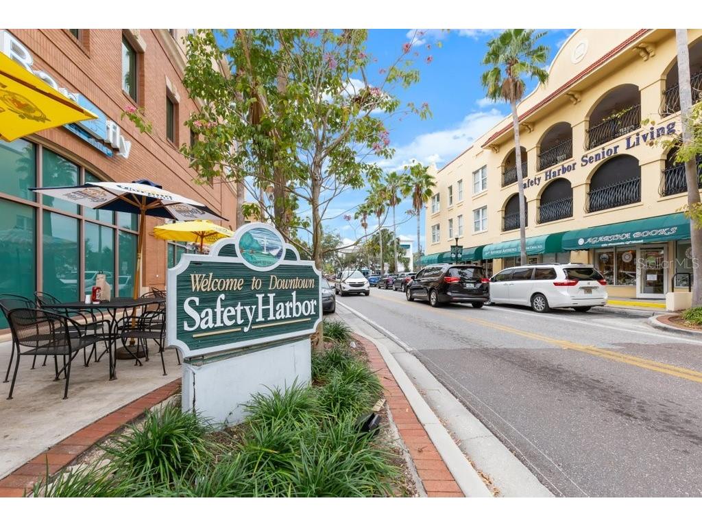 415 Maple Way #A & B Safety Harbor FL 34695 TB8443812 image53