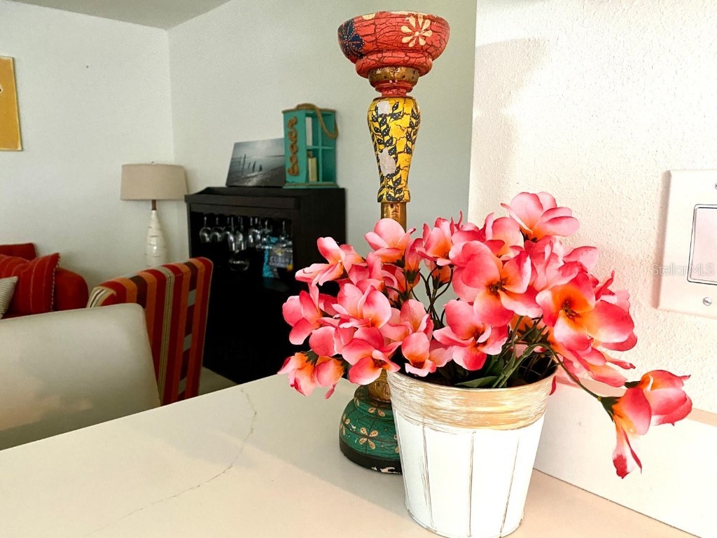 415 Maple Way #A Safety Harbor FL 34695 TB8443688 image10