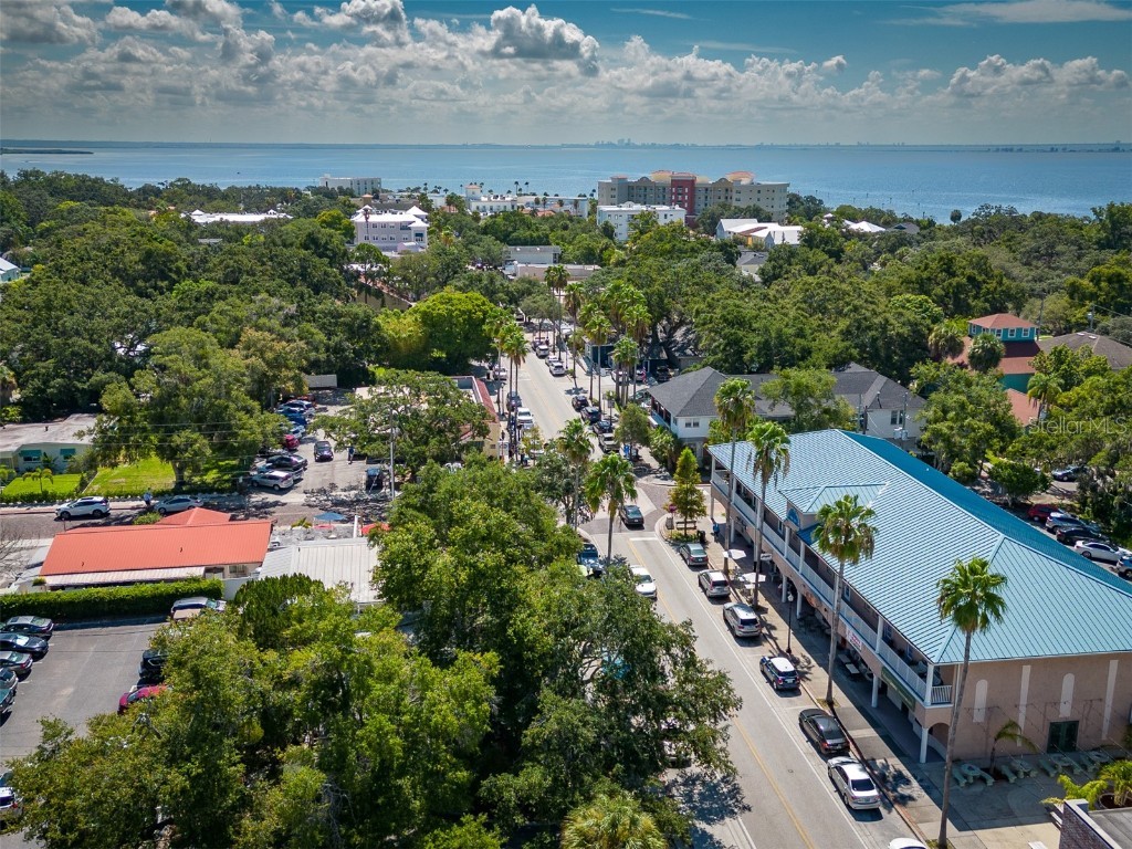 415 Maple Way #A Safety Harbor FL 34695 TB8443688 image46