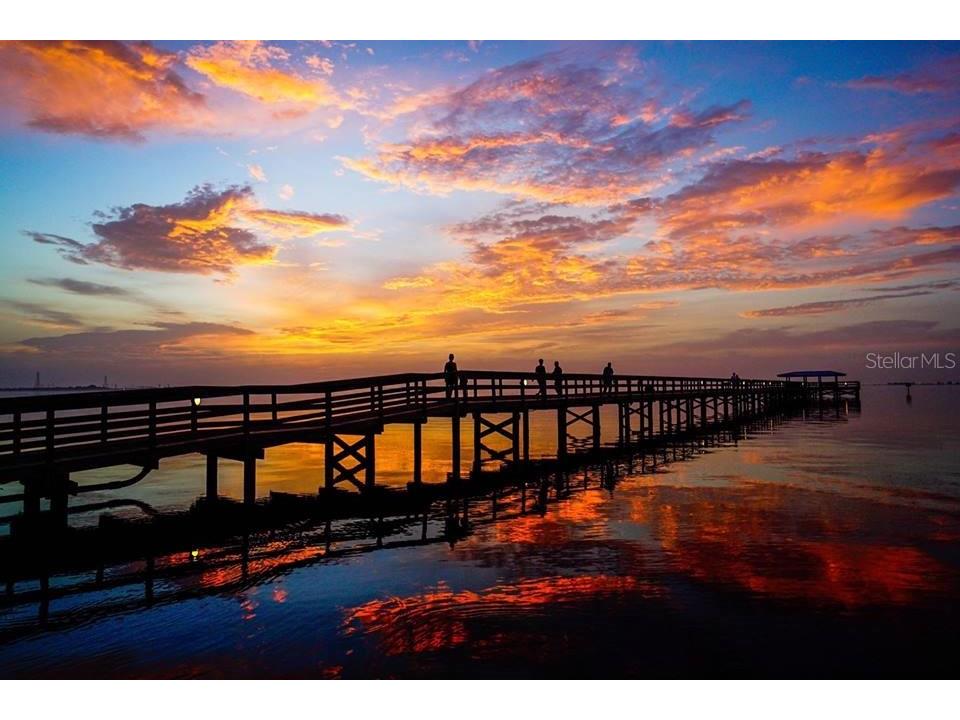 415 Maple Way #A Safety Harbor FL 34695 TB8443688 image48