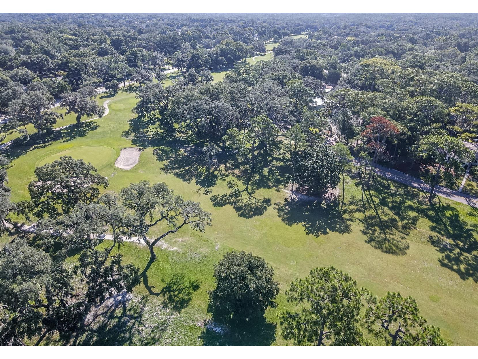 415 Mission Hills Avenue Temple Terrace FL 33617 TB8391244 image37
