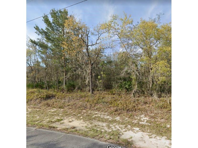 415 Mulberry Court Poinciana FL 34759 B4901174 image1