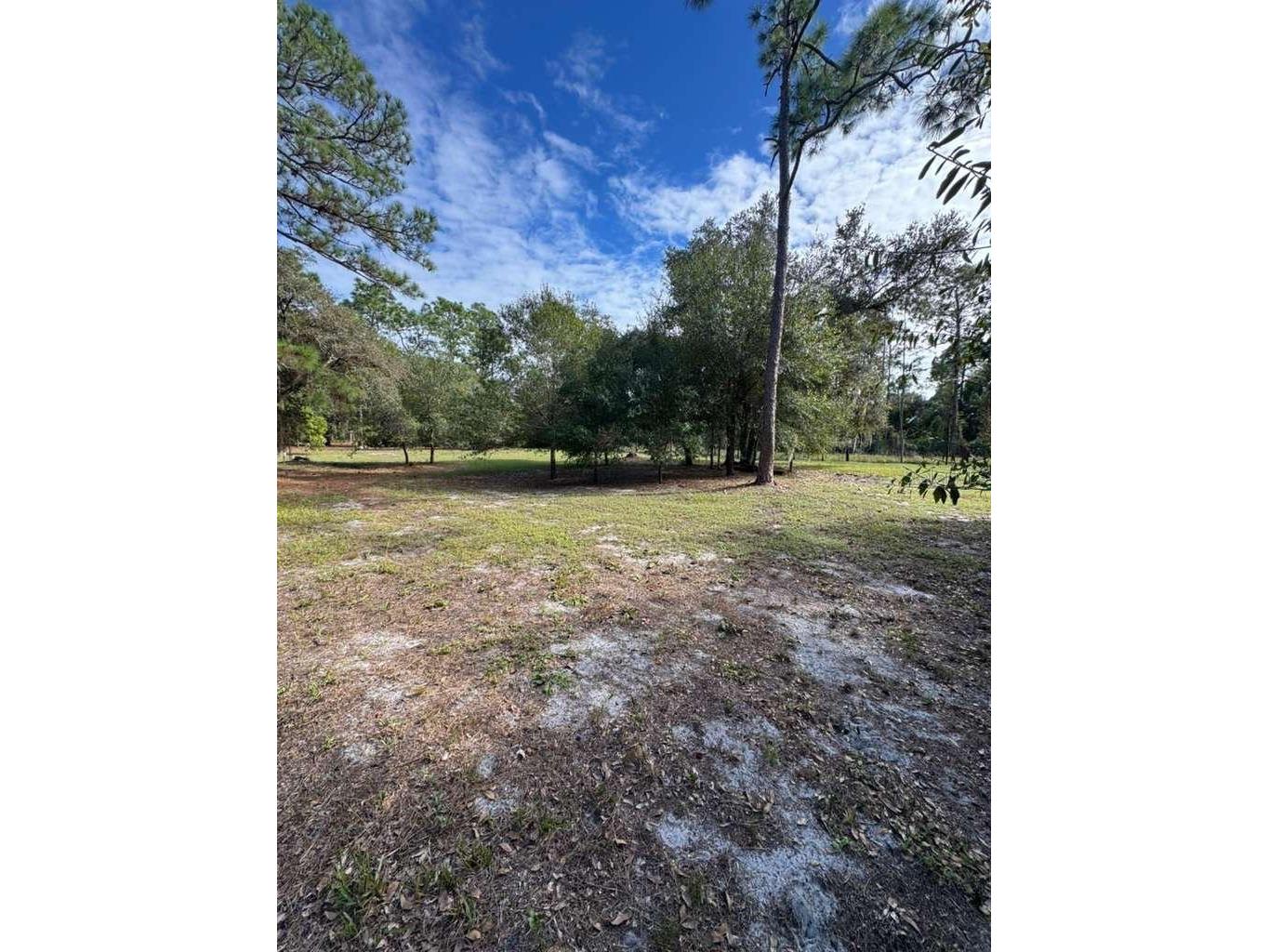 415 N Verda Street Clewiston FL 33440 O6377292 image6
