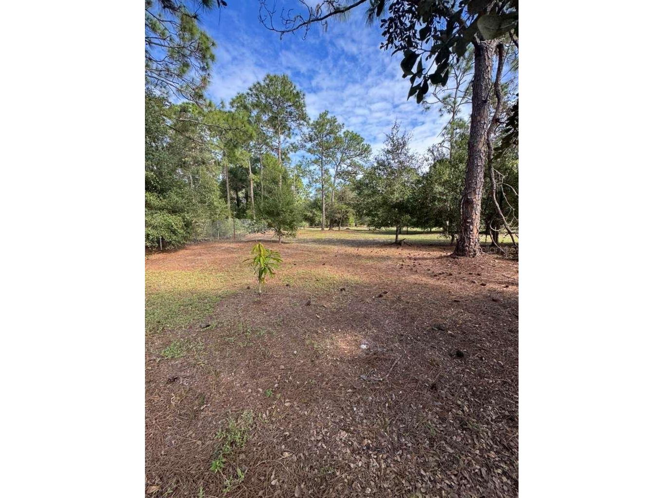 415 N Verda Street Clewiston FL 33440 O6377292 image7