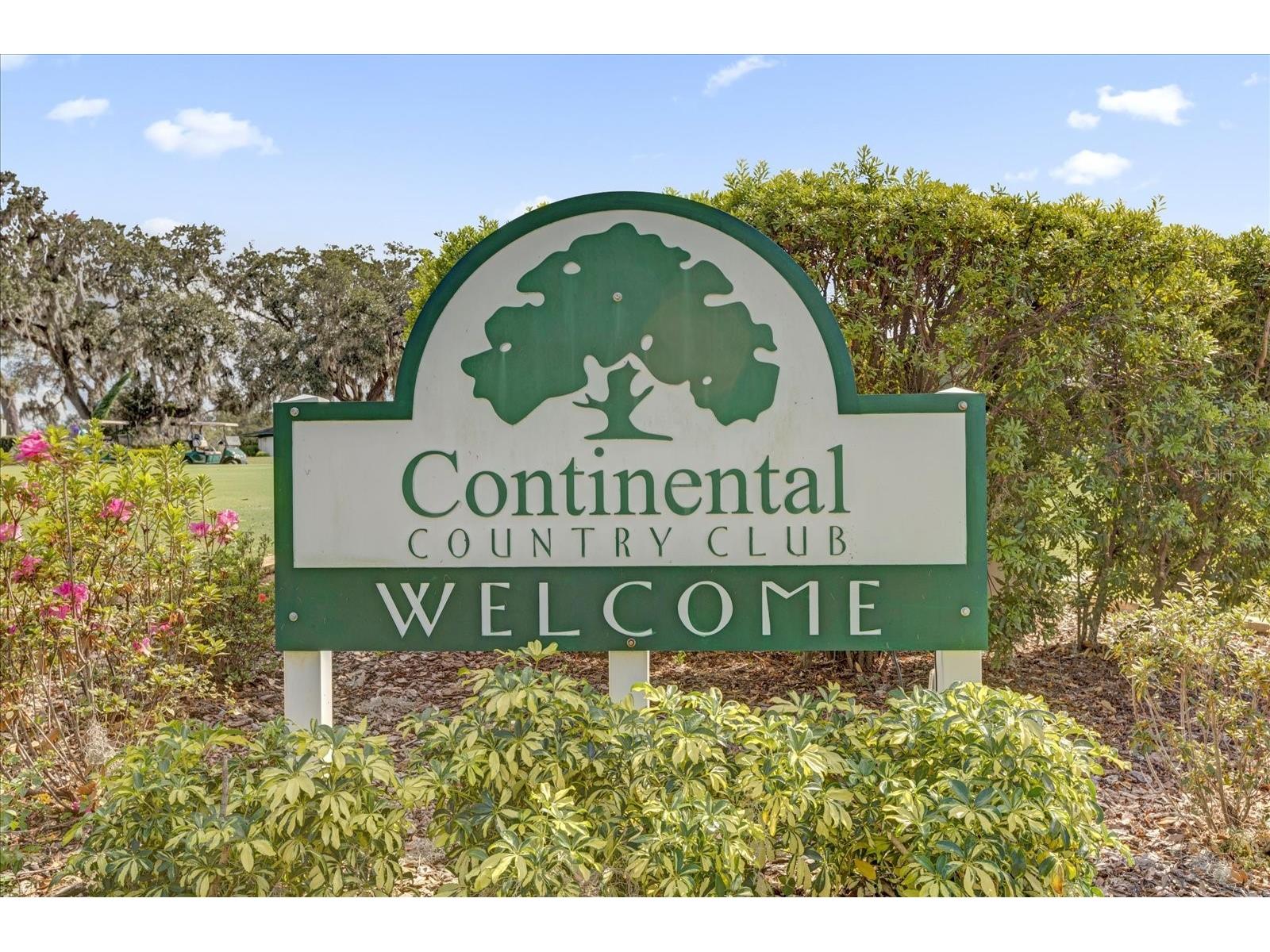 415 S Timber Trail Wildwood FL 34785 O6392964 image34