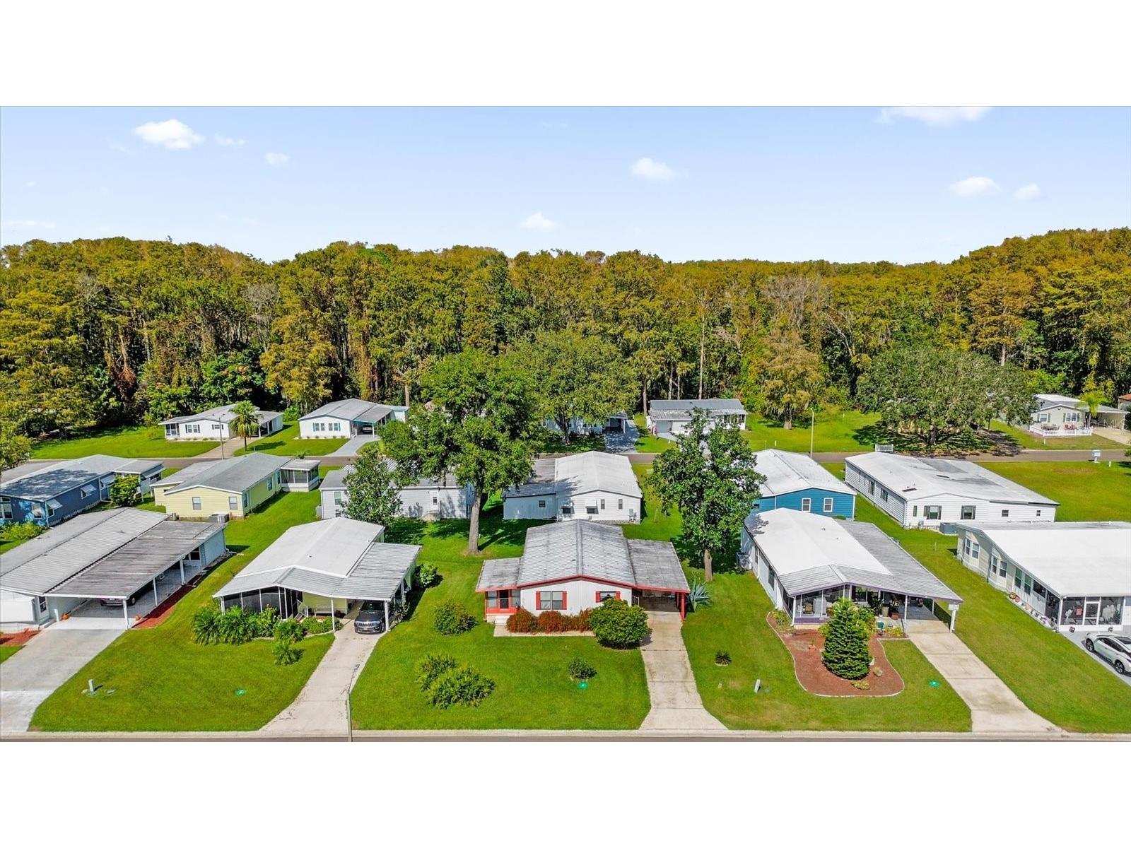 415 S Timber Trail Wildwood FL 34785 O6392964 image36