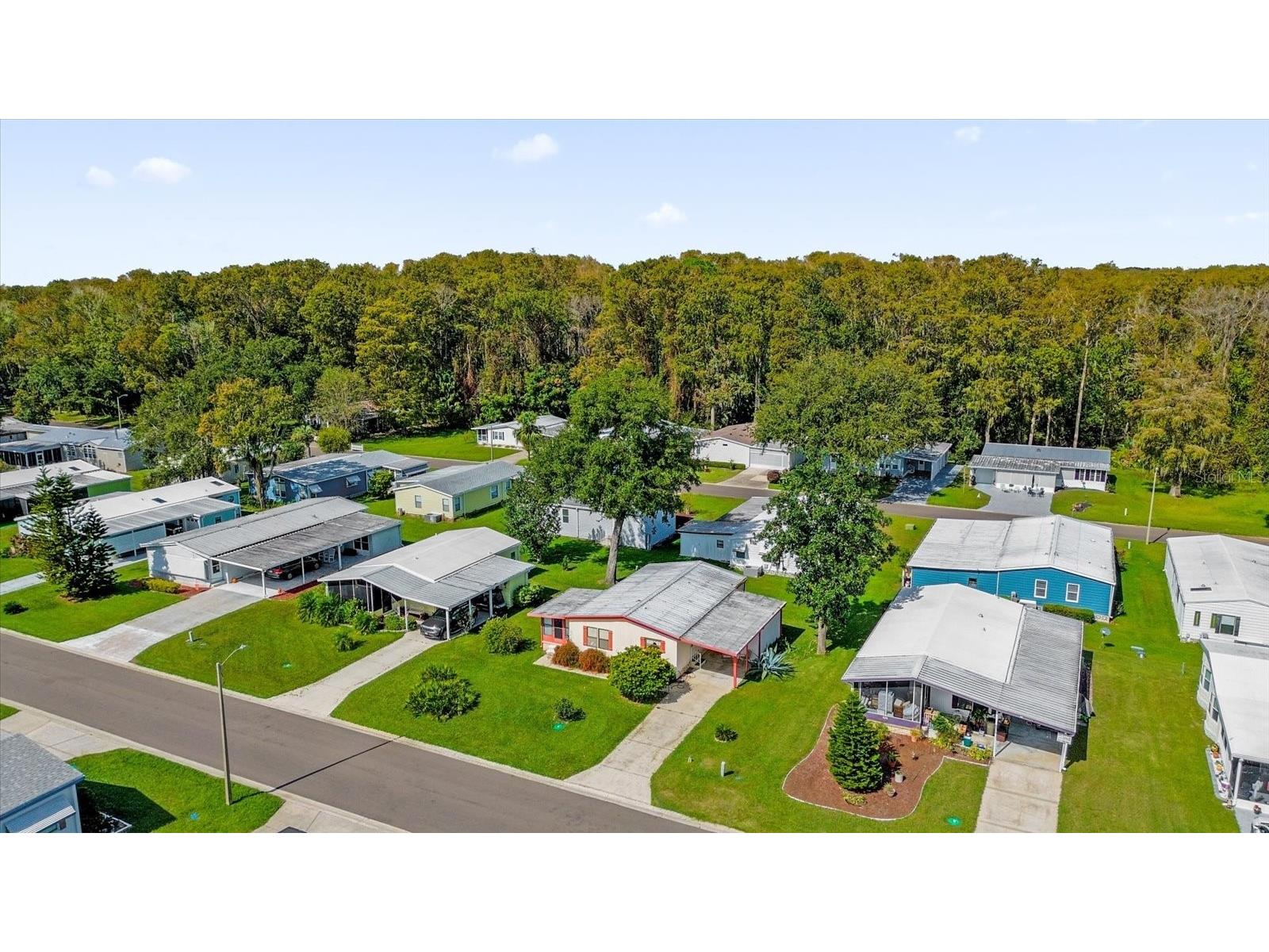 415 S Timber Trail Wildwood FL 34785 O6392964 image37