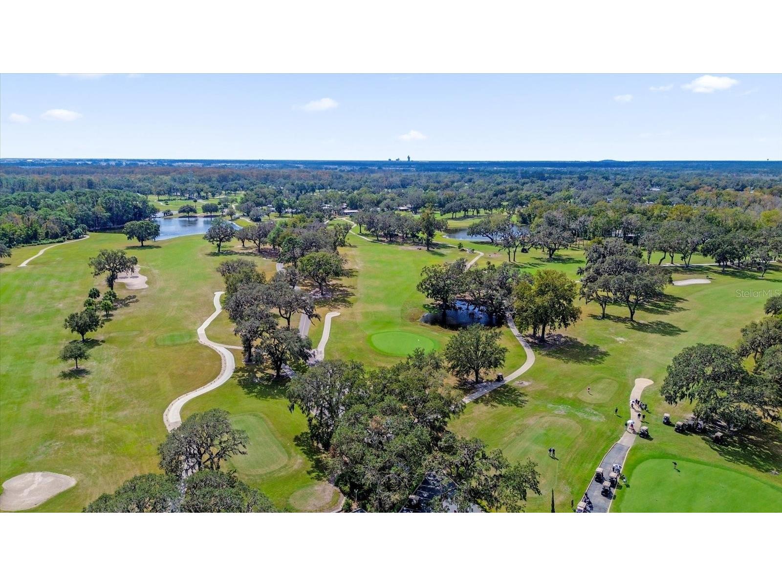 415 S Timber Trail Wildwood FL 34785 O6392964 image46
