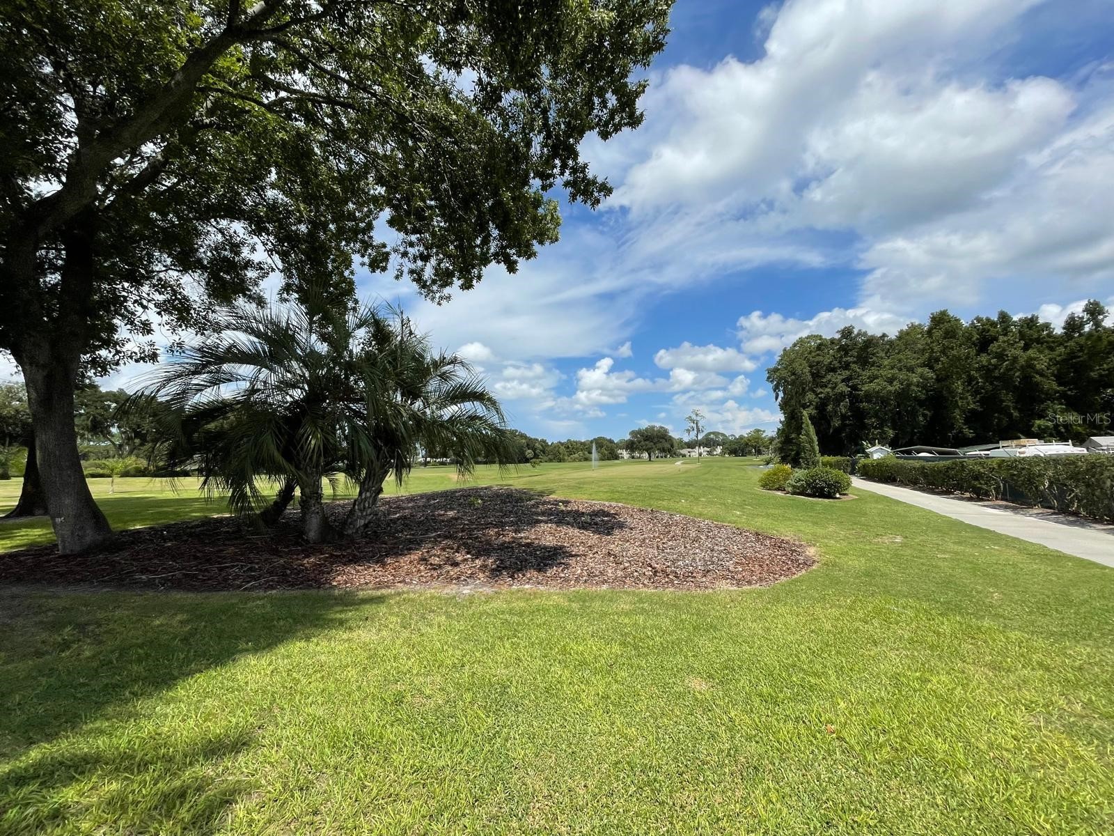415 S Timber Trail Wildwood FL 34785 O6392964 image50
