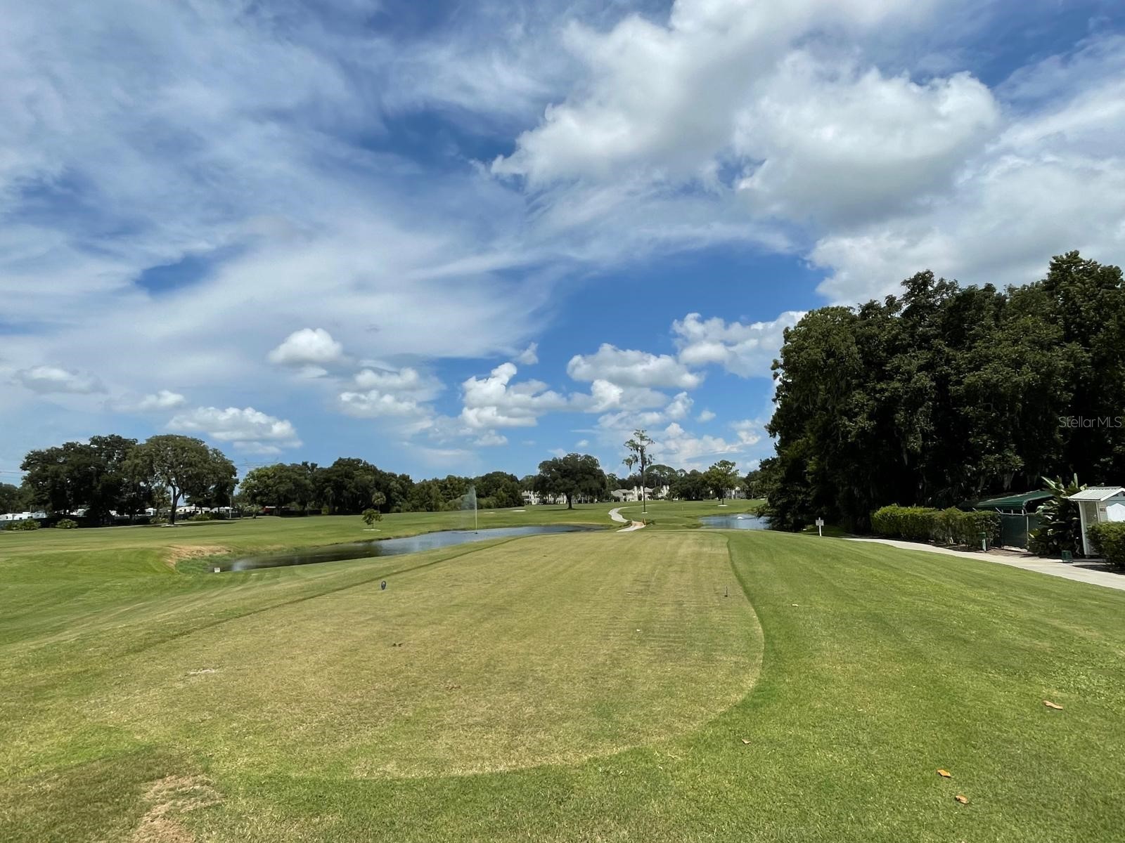 415 S Timber Trail Wildwood FL 34785 O6392964 image51