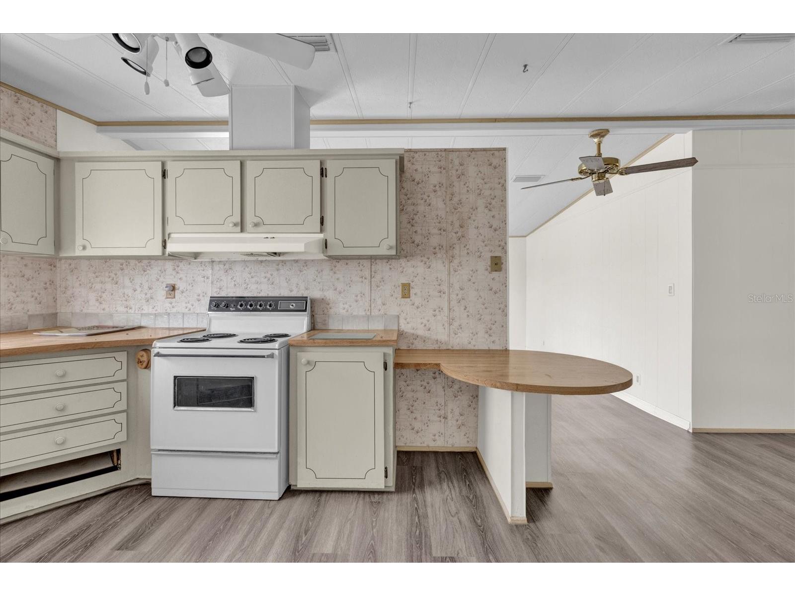 415 S Timber Trail Wildwood FL 34785 O6392964 image6