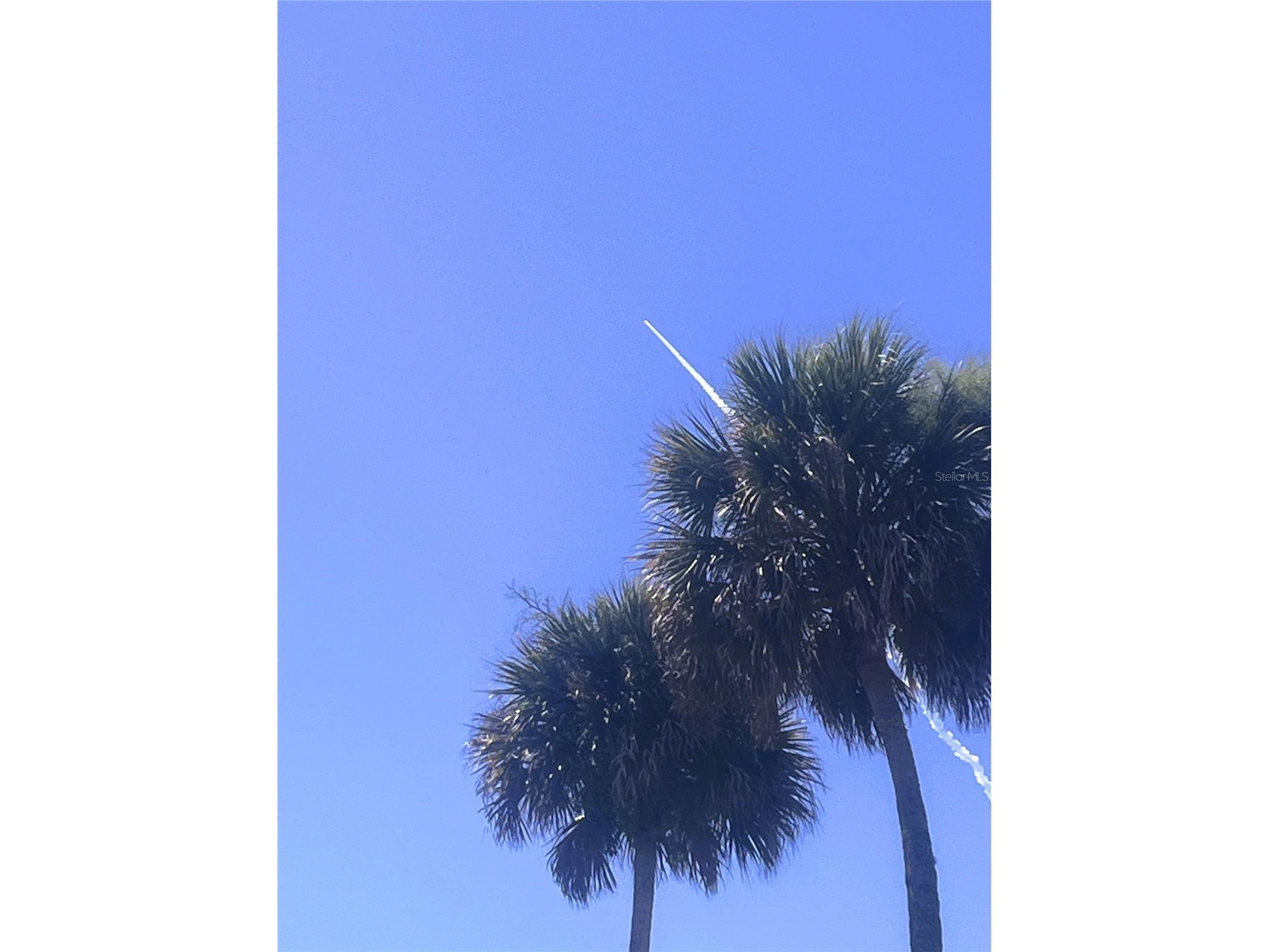 415 Sioux Boulevard Oak Hill FL 32759 - INDIAN RIVER NS1087190 image52