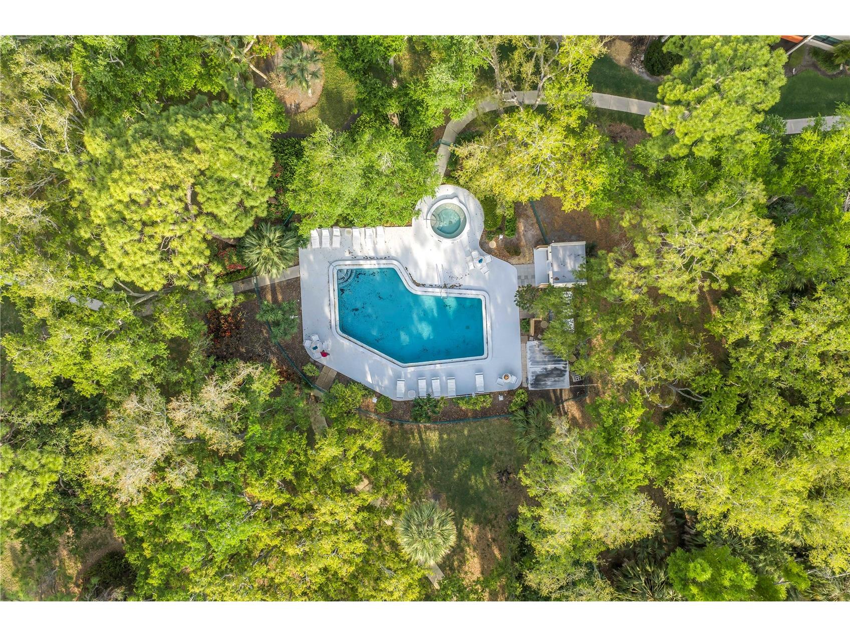 415 Spring Lakes Boulevard #415 D Bradenton FL 34210 A4686710 image42