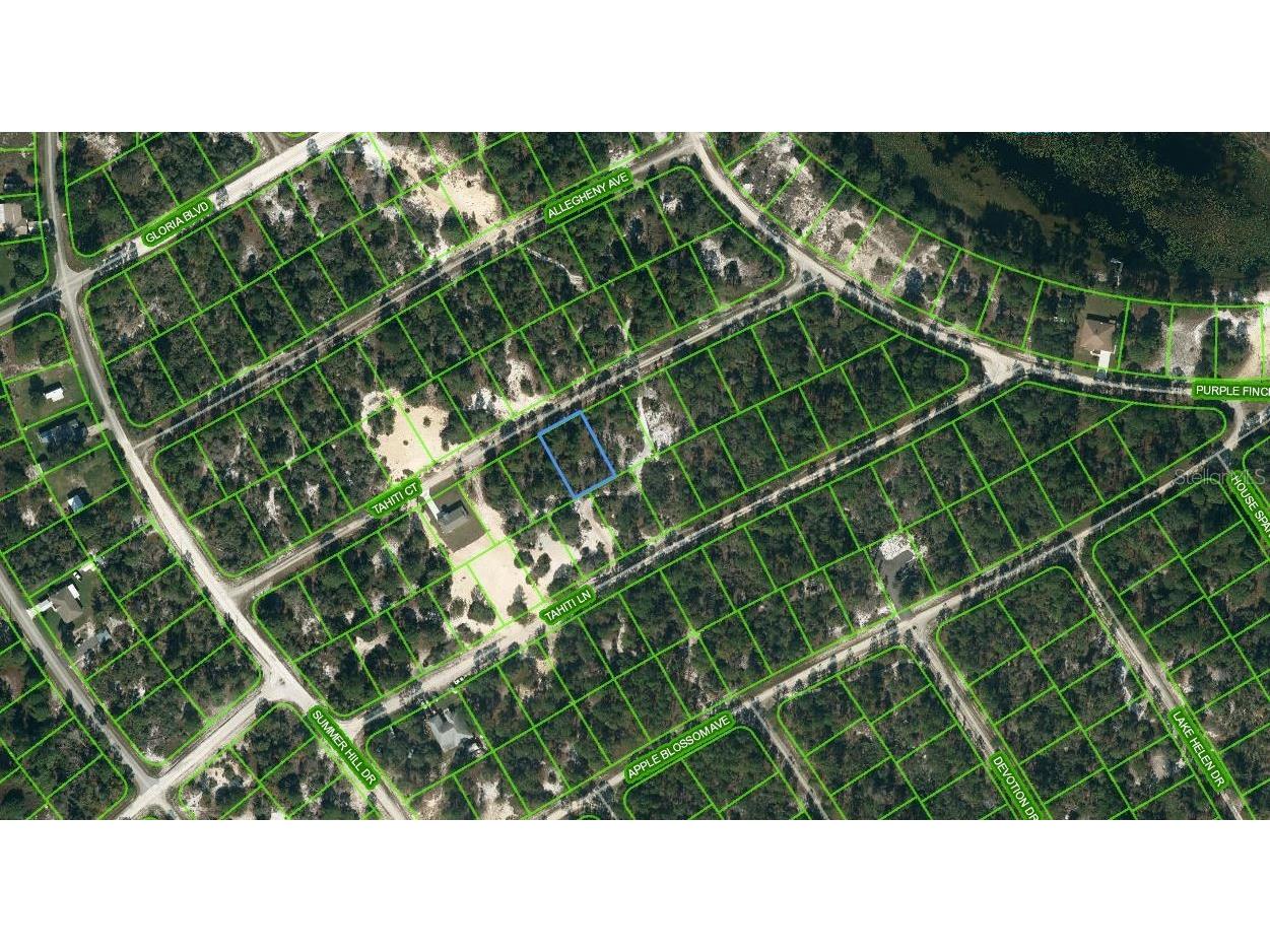 415 Tahiti Court Lake Placid FL 33852 OM624331 image1